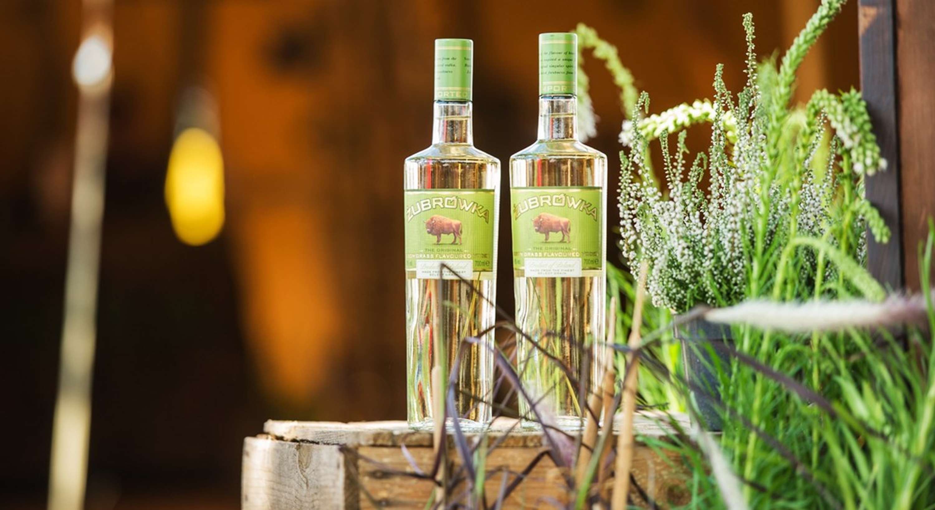 ZUBROWKA by amy angold