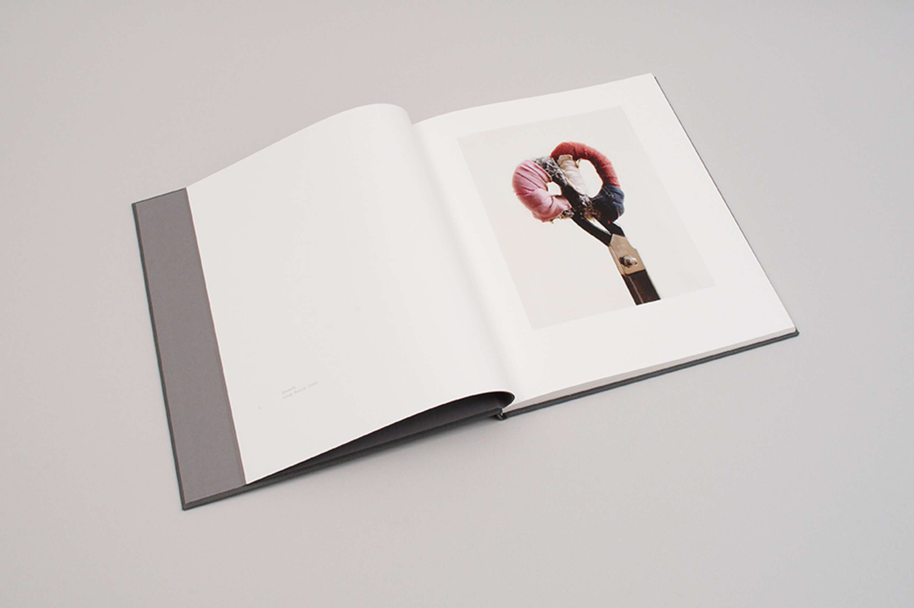ALBAM — Book Design by Patrick Duffy