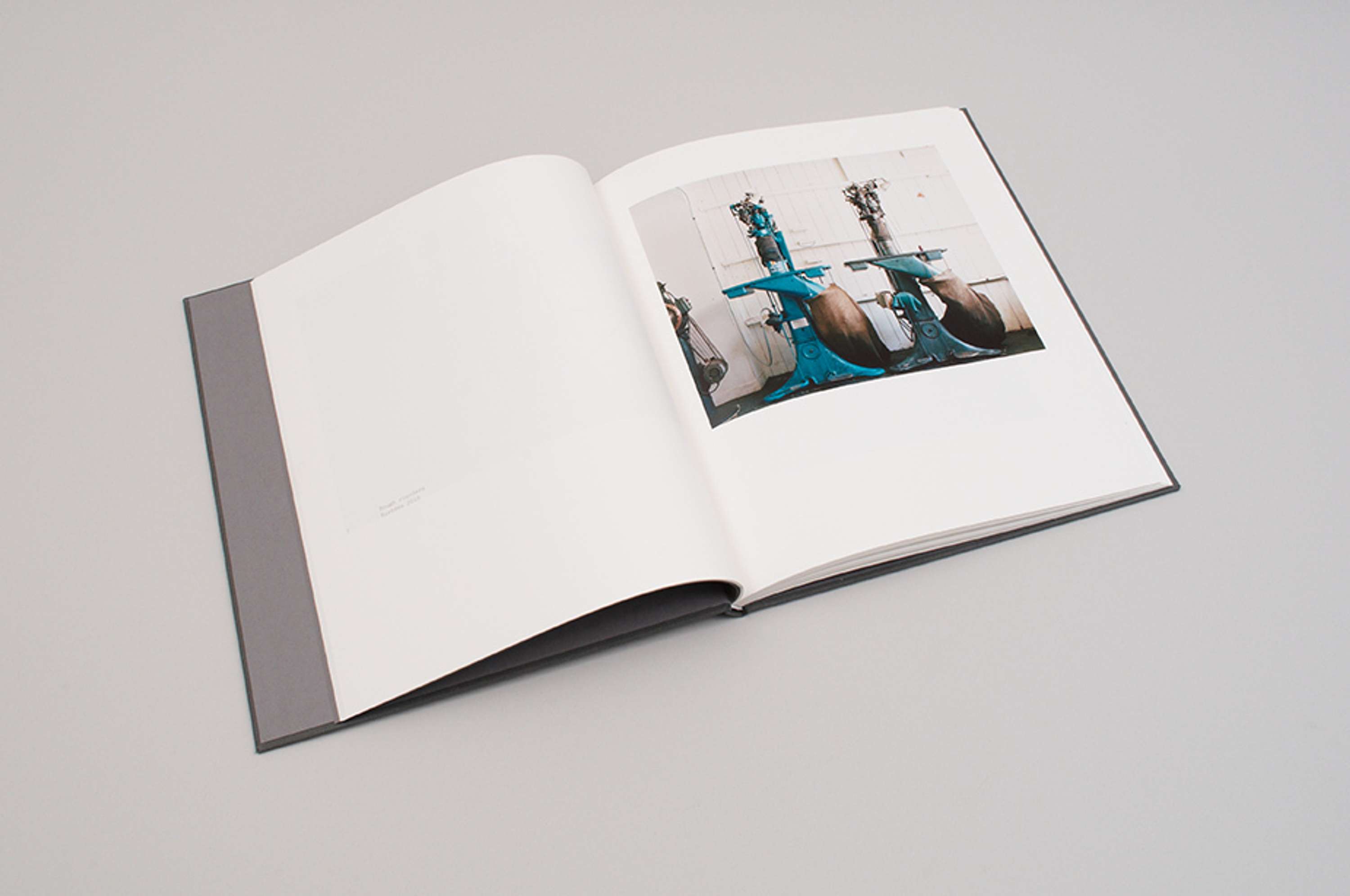 ALBAM — Book Design by Patrick Duffy
