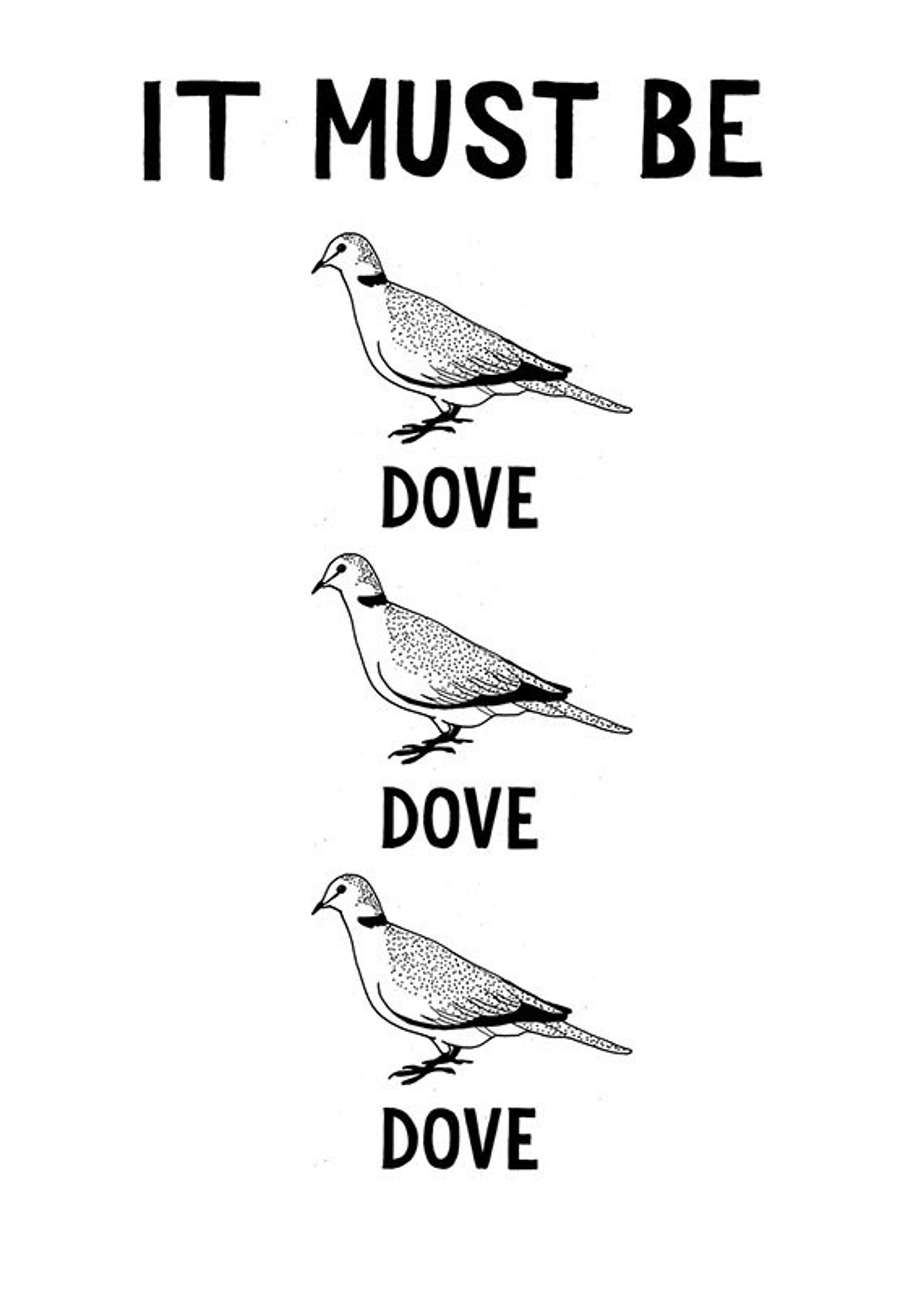 Dave Anderson by POCKO