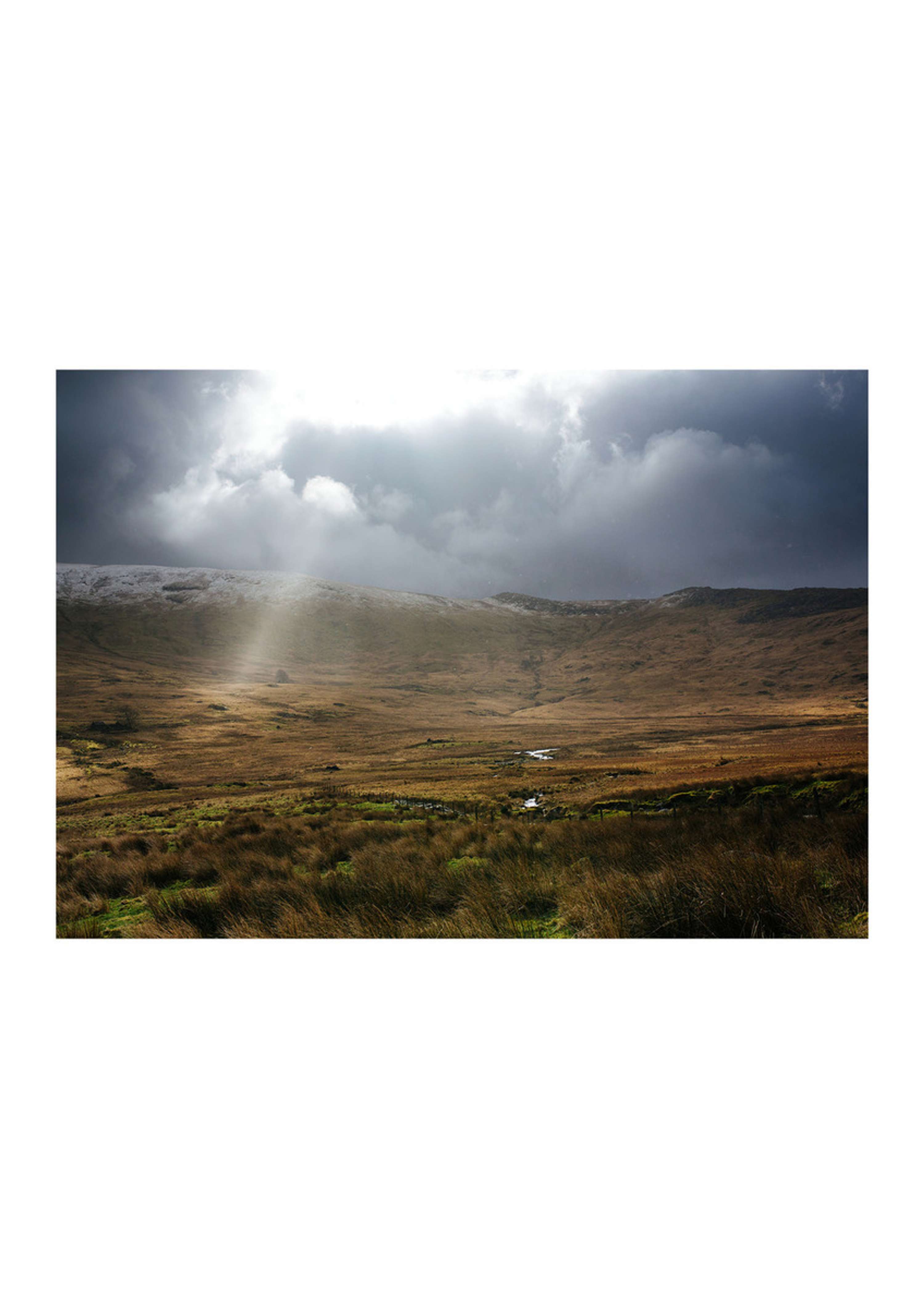 Portfolio by Felicity Millward