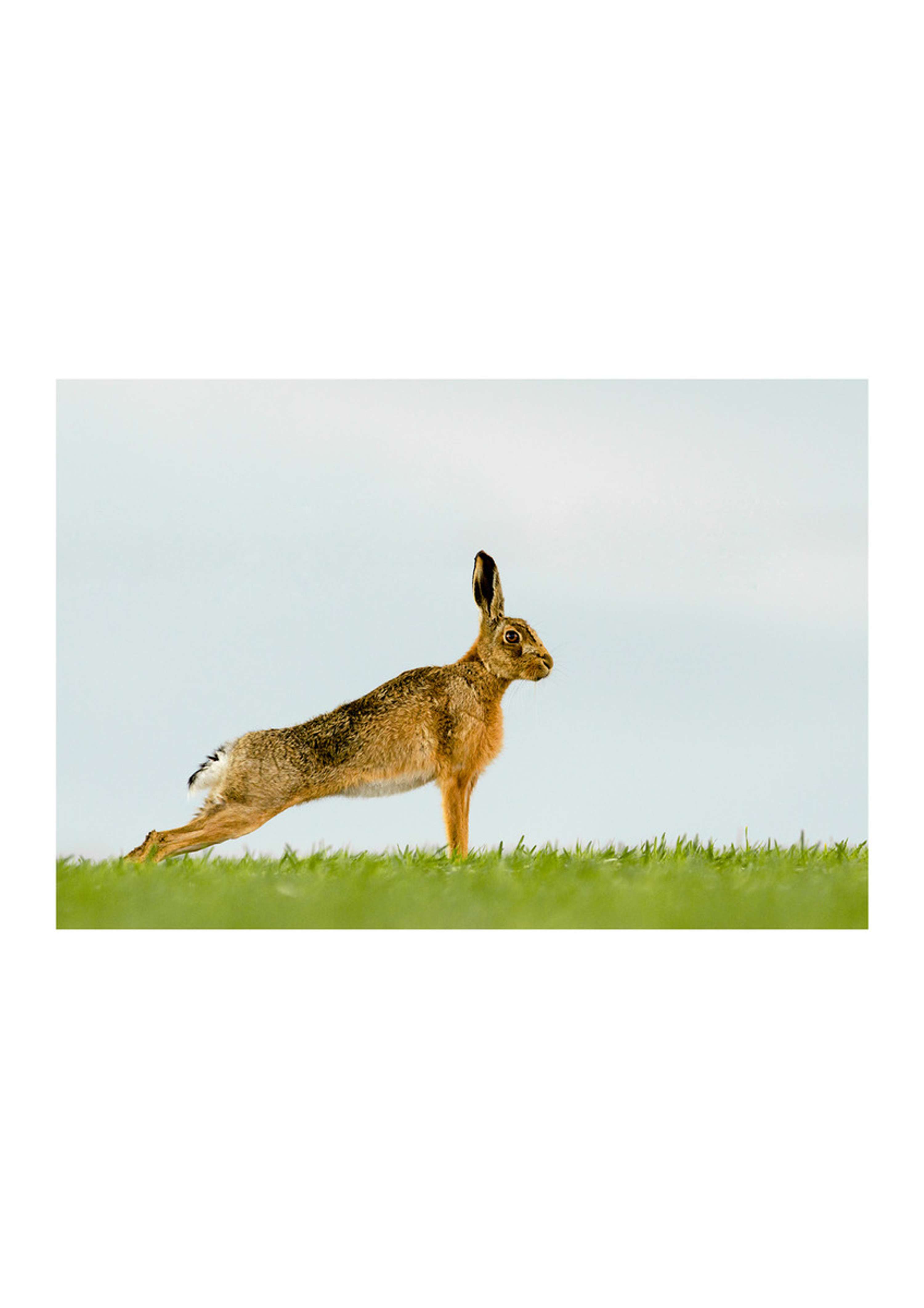 Portfolio by Felicity Millward