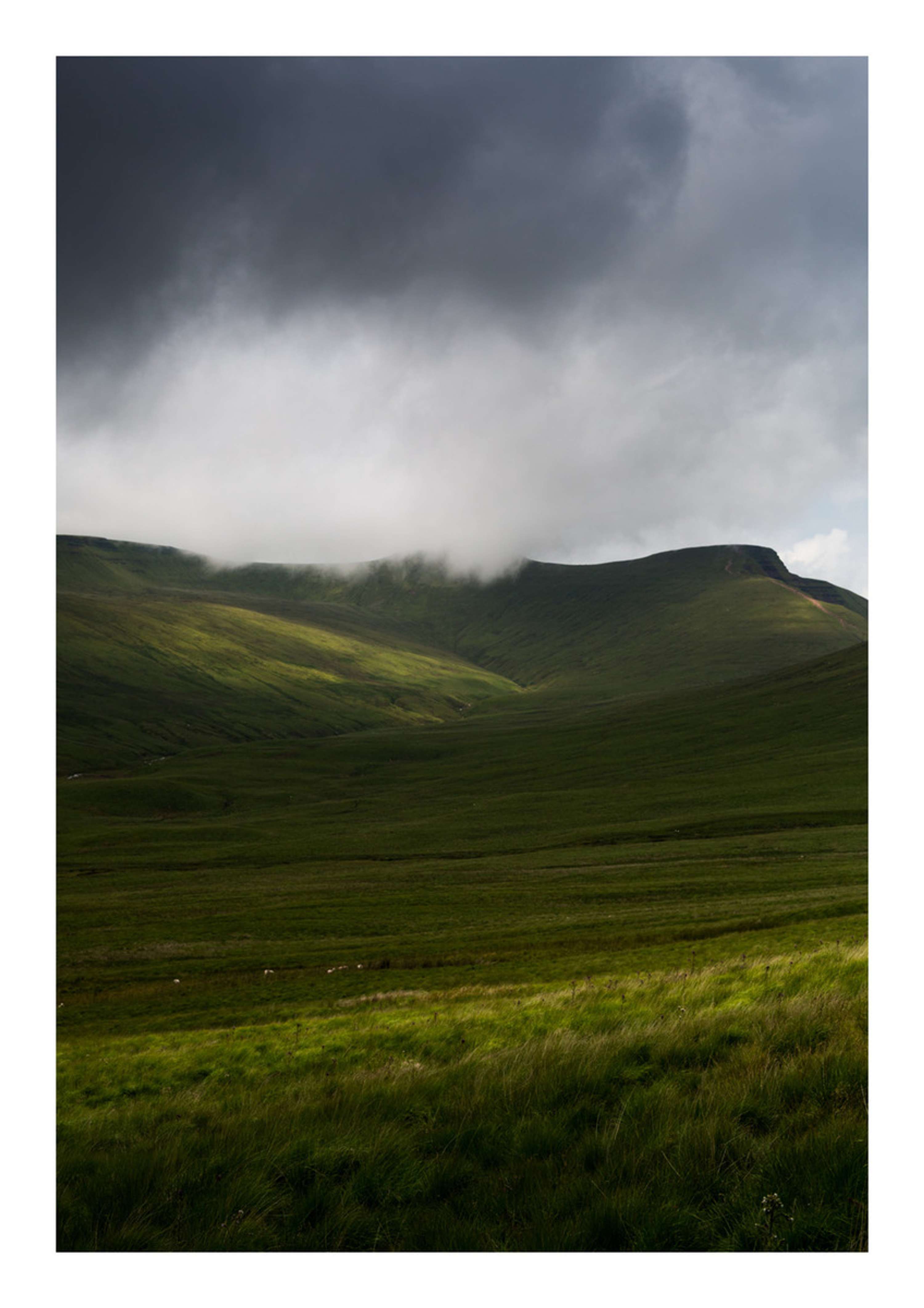 Portfolio by Felicity Millward