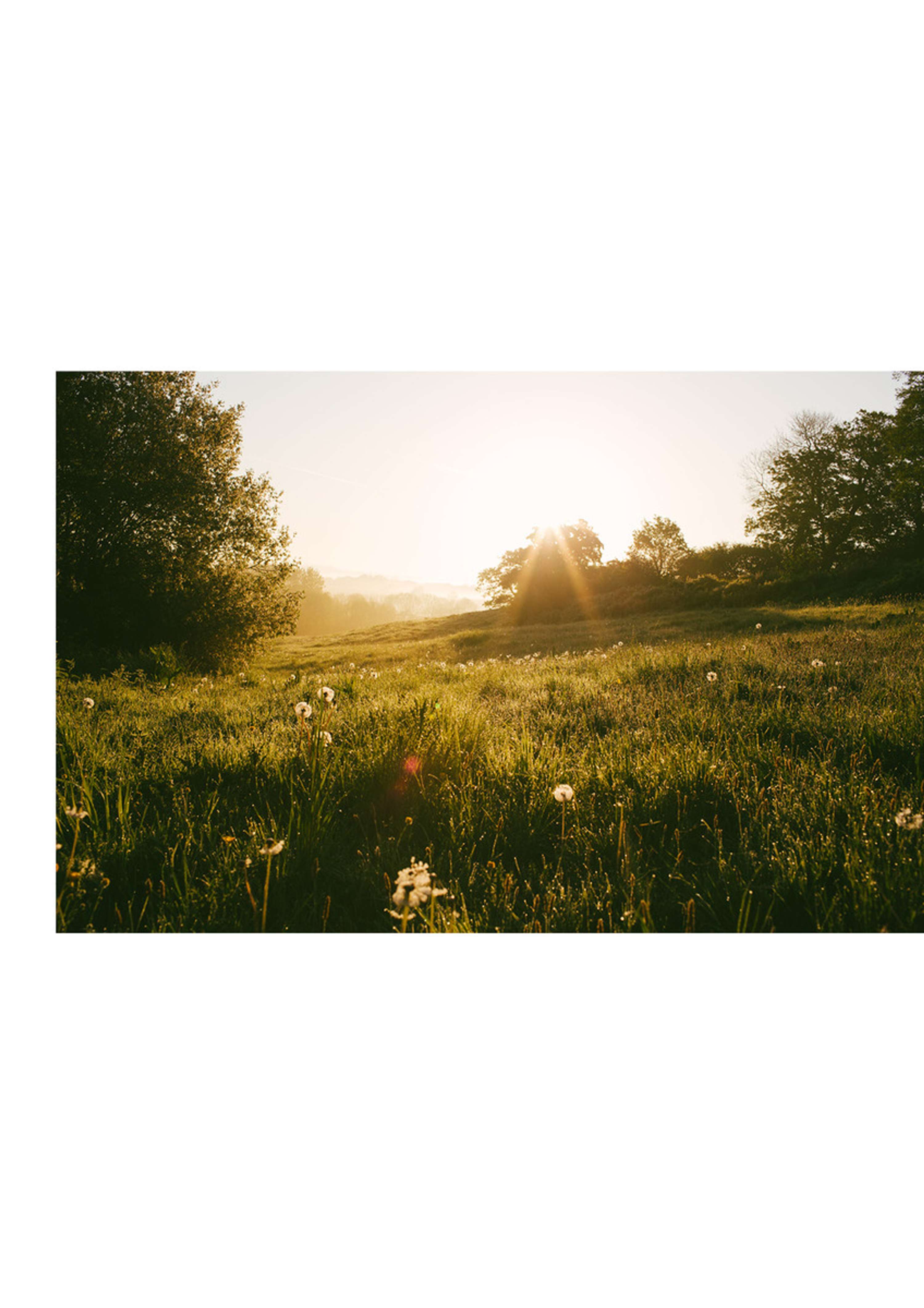 Portfolio by Felicity Millward