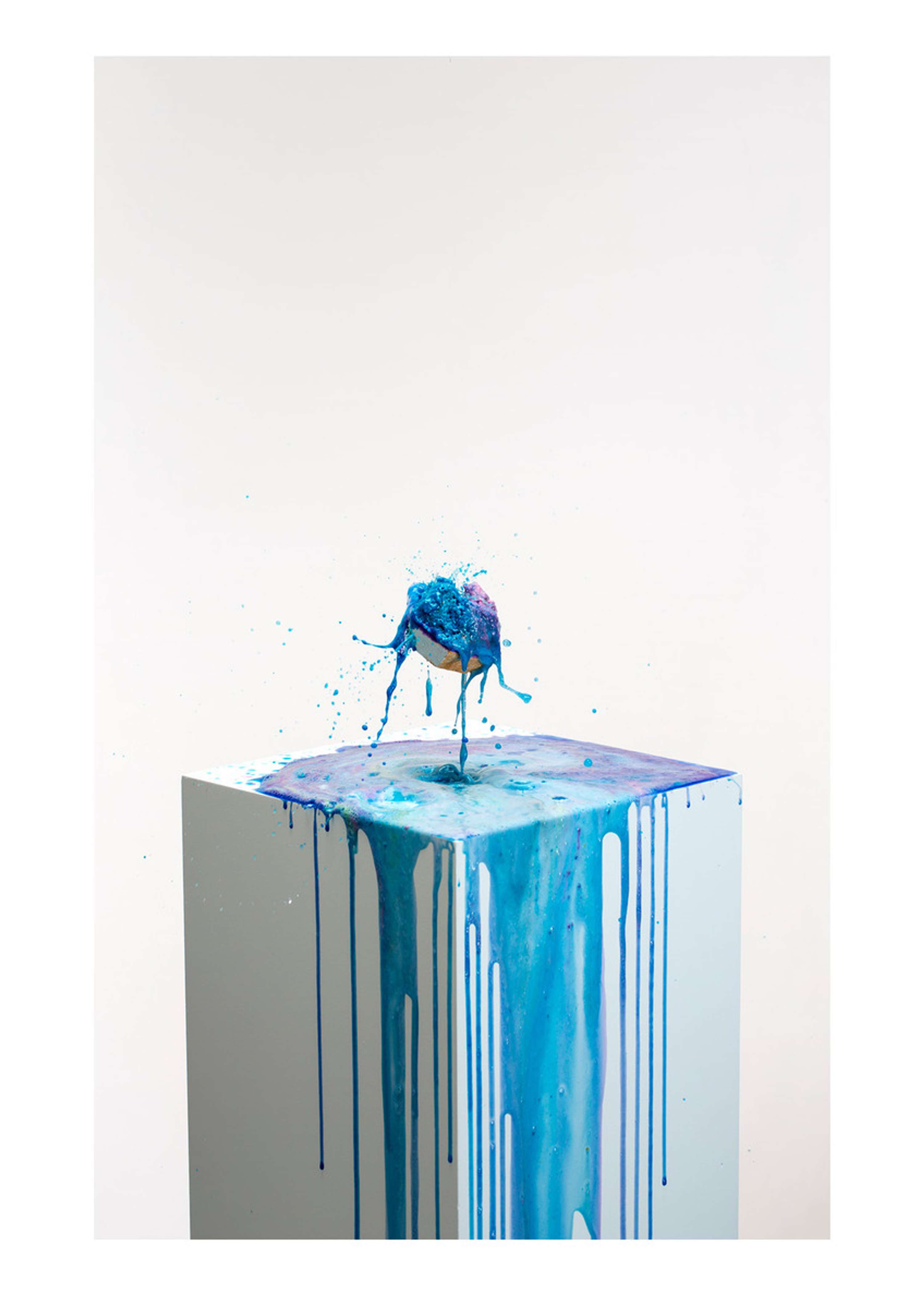 Portfolio by Felicity Millward