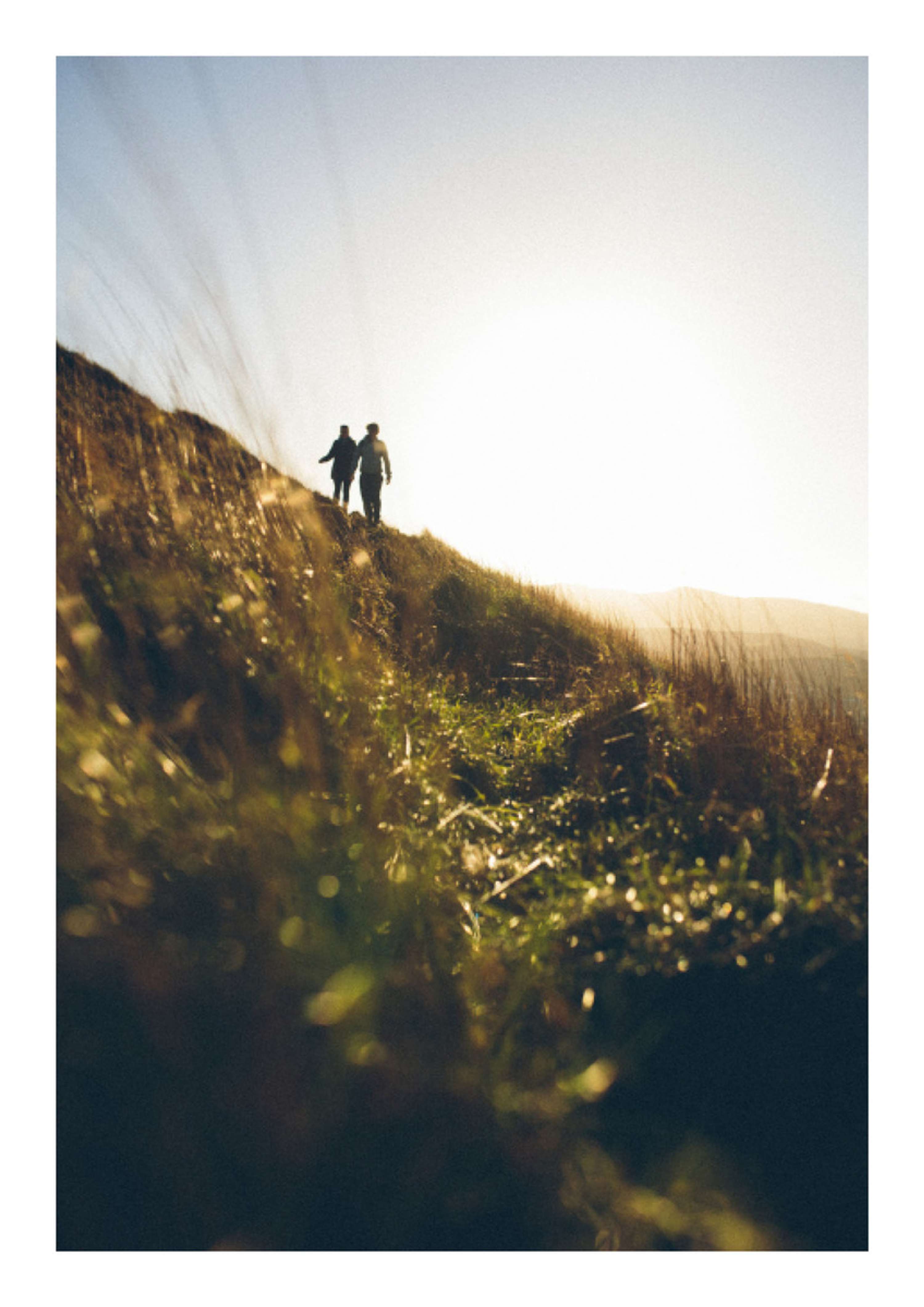Portfolio by Felicity Millward
