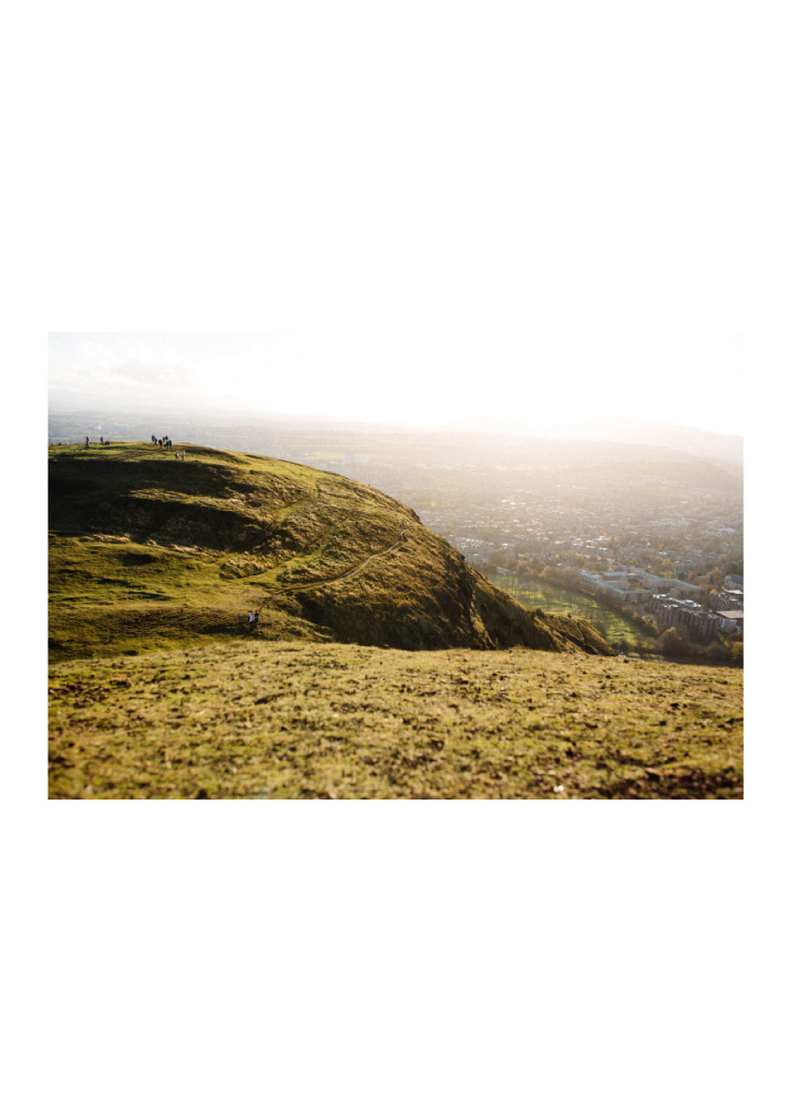 Portfolio by Felicity Millward