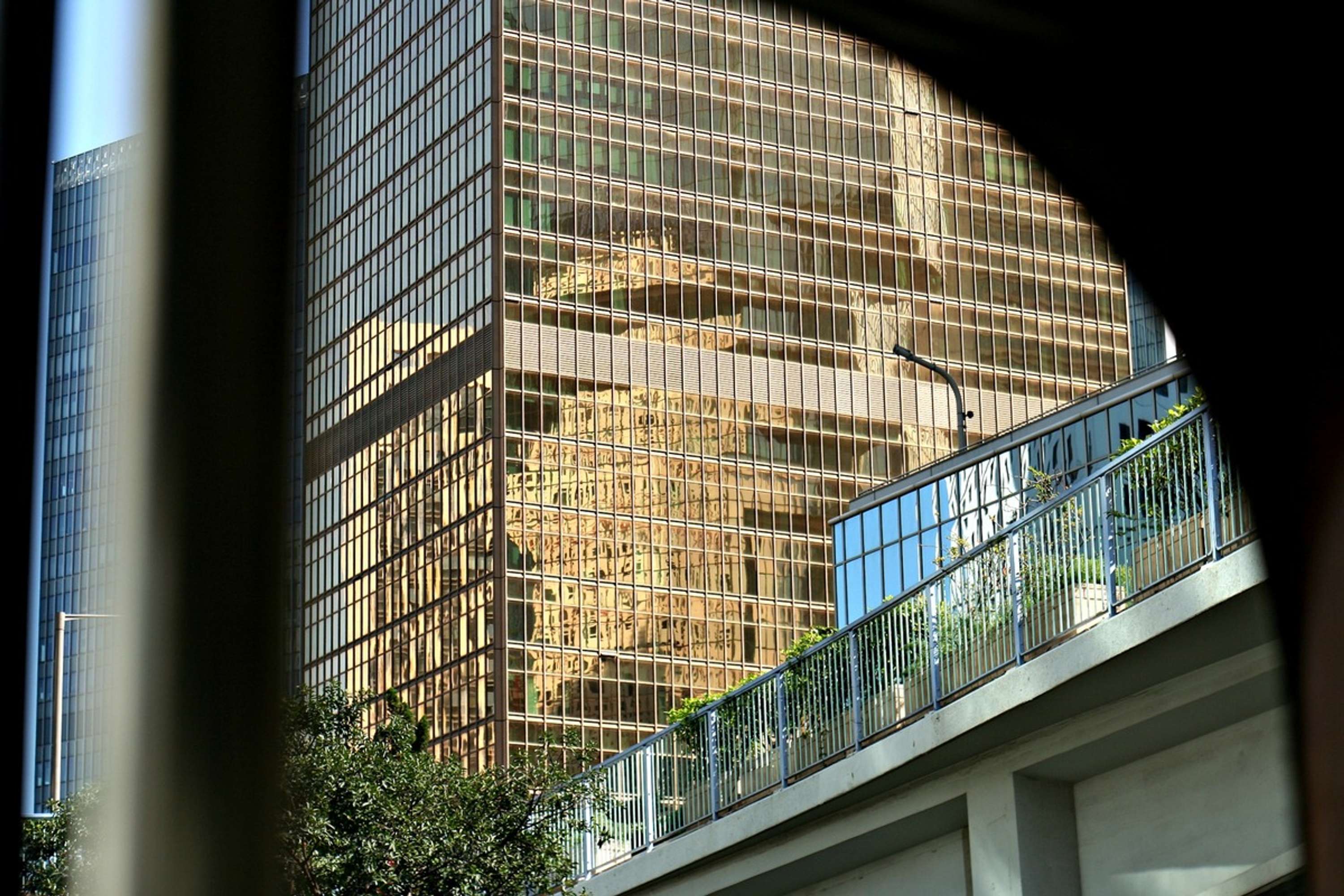 Hong Kong by Sarah Jane Enson