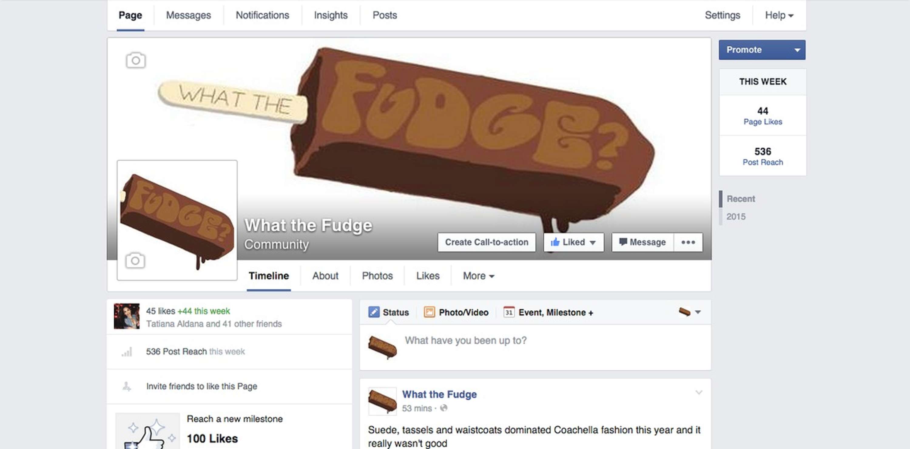 What the Fudge by Nadia Younes