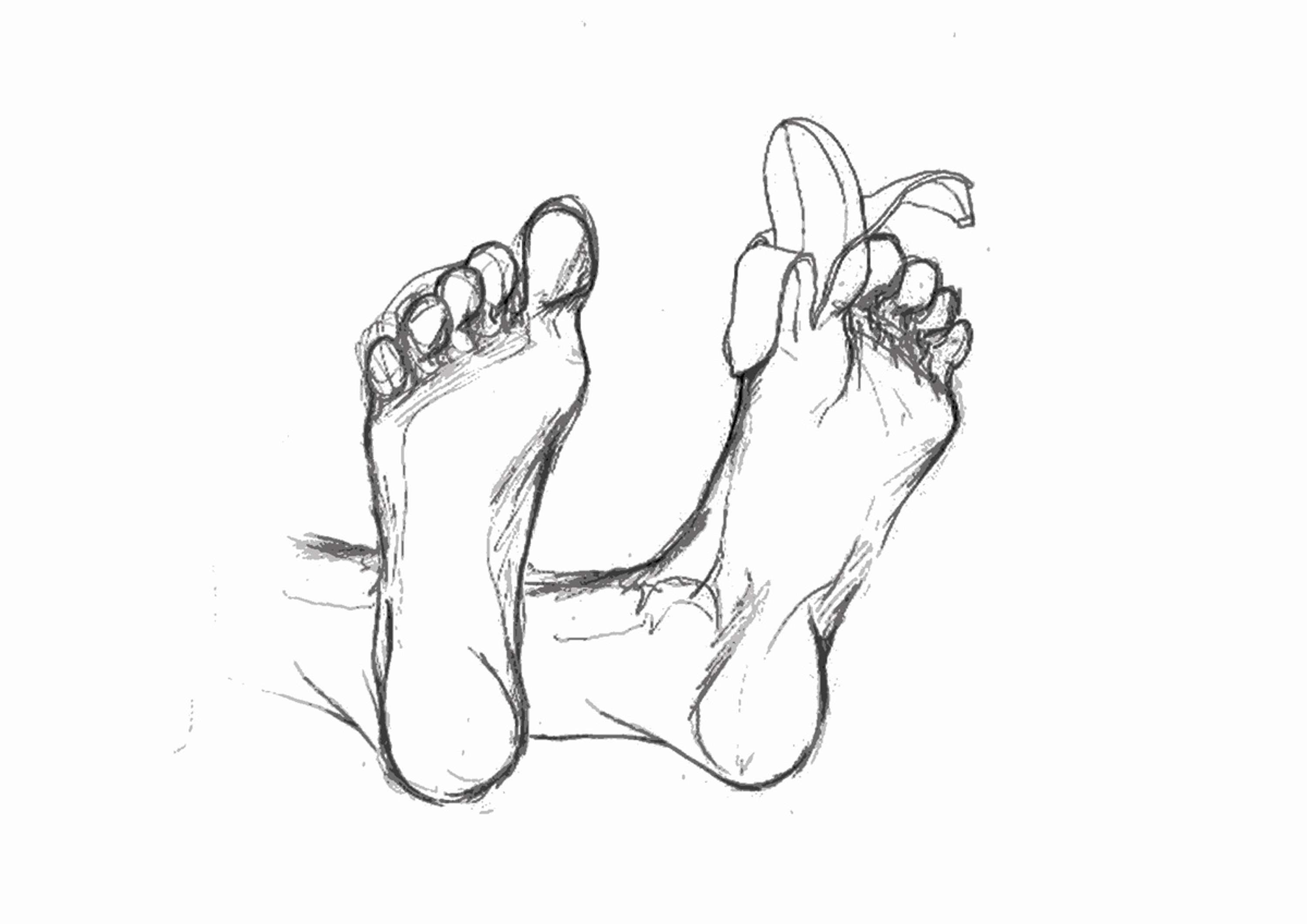 Daily basics by Jantamas Nilodom