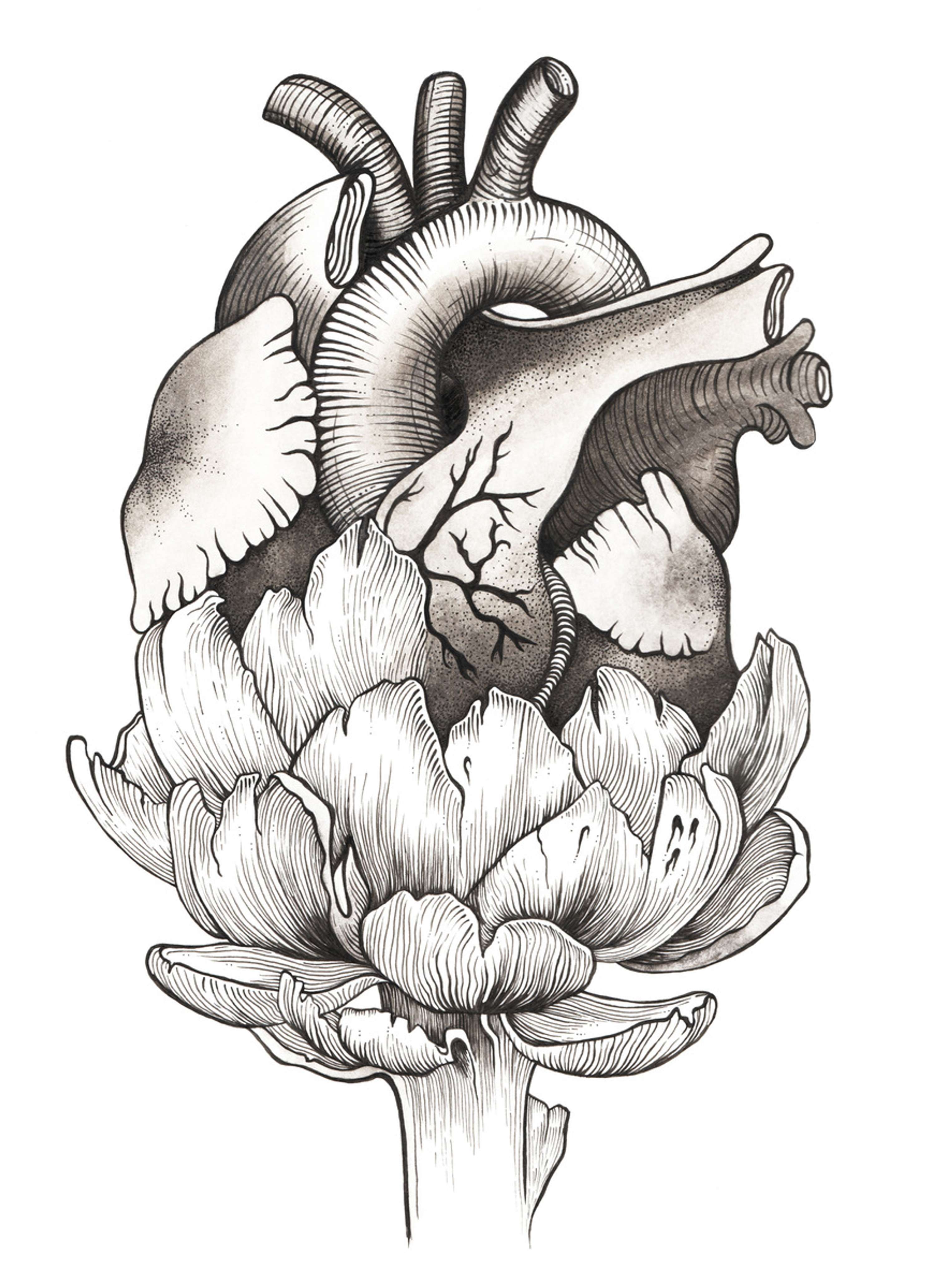 MY PORTFOLIO by Lid  Von V