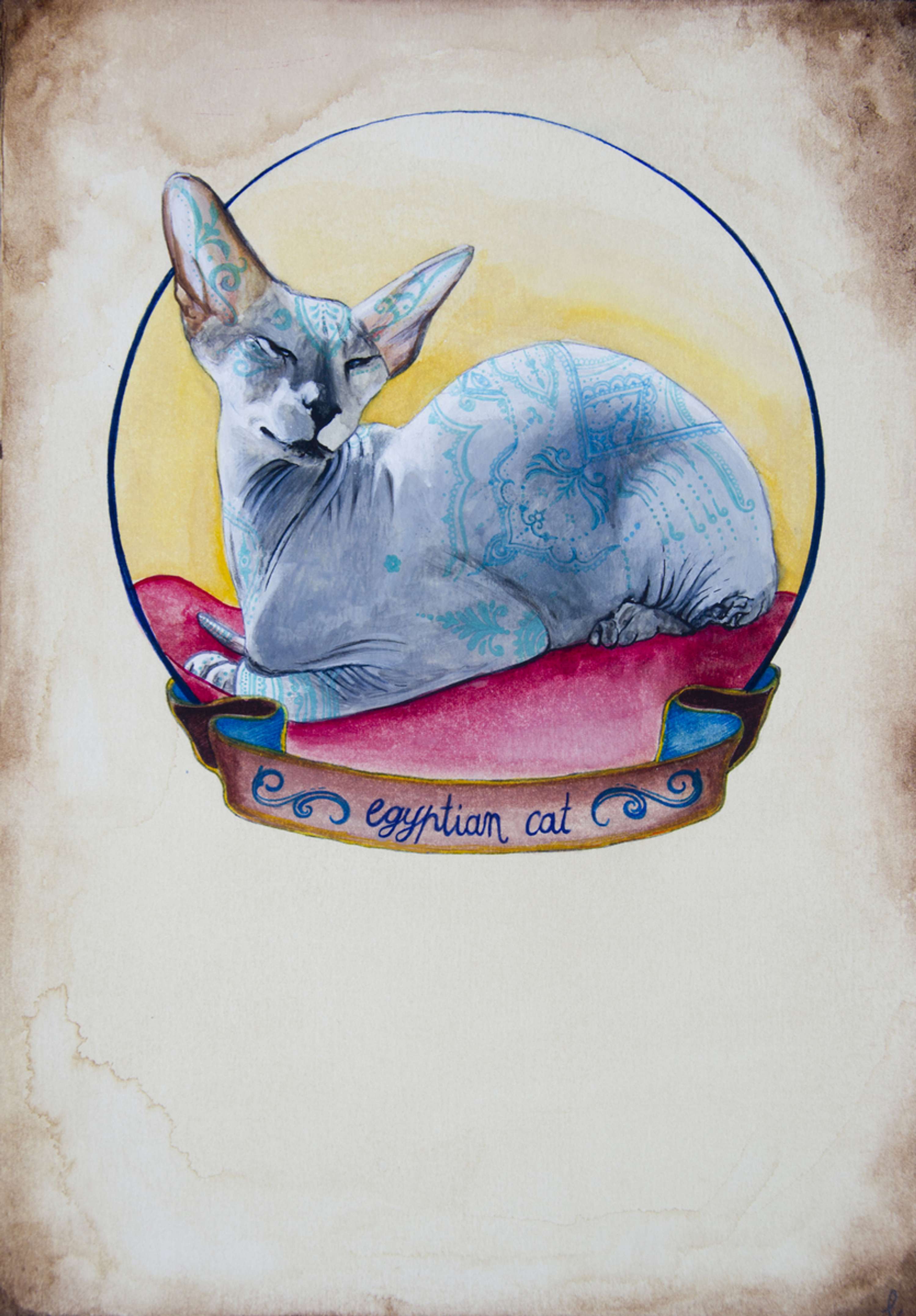 MY PORTFOLIO by Lid  Von V
