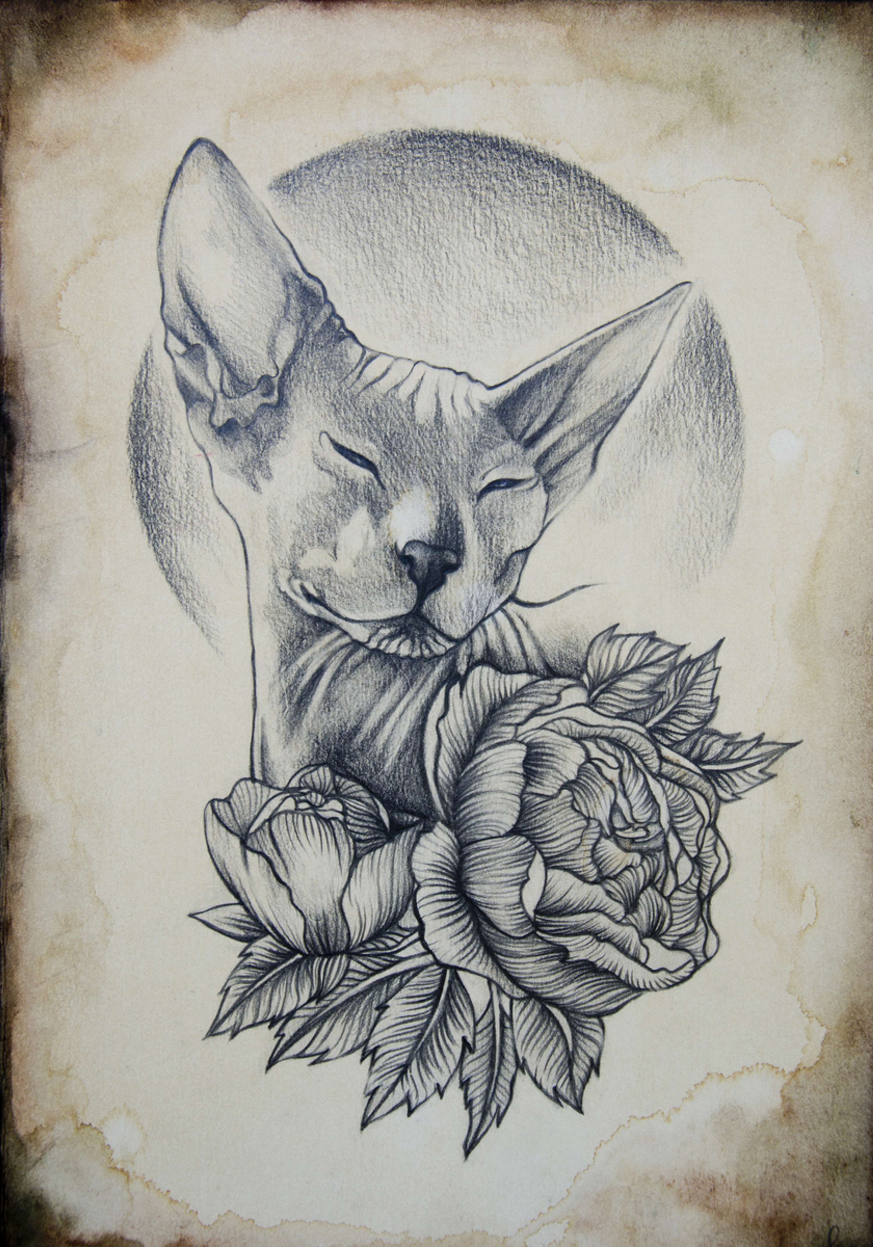 MY PORTFOLIO by Lid  Von V