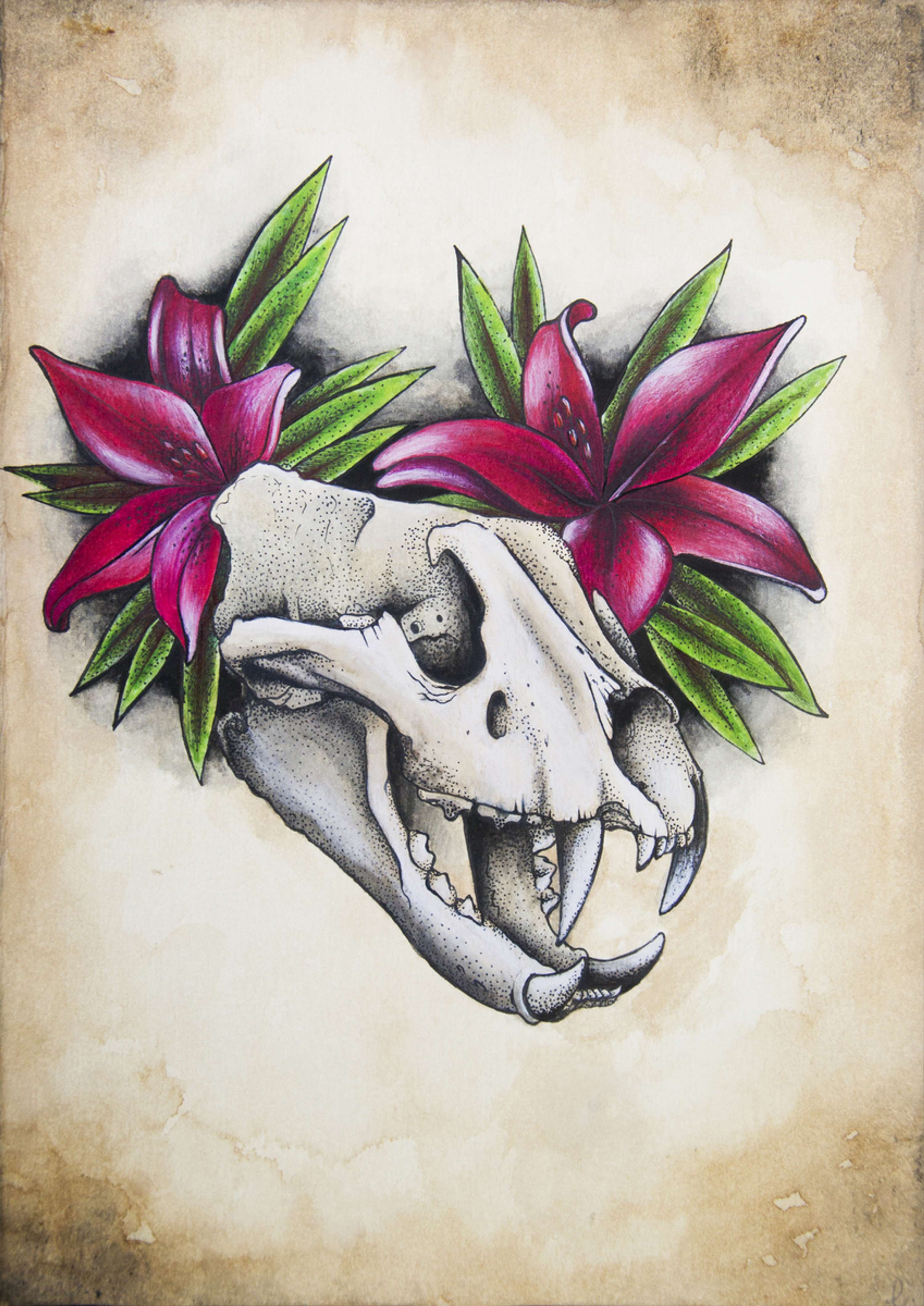 MY PORTFOLIO by Lid  Von V