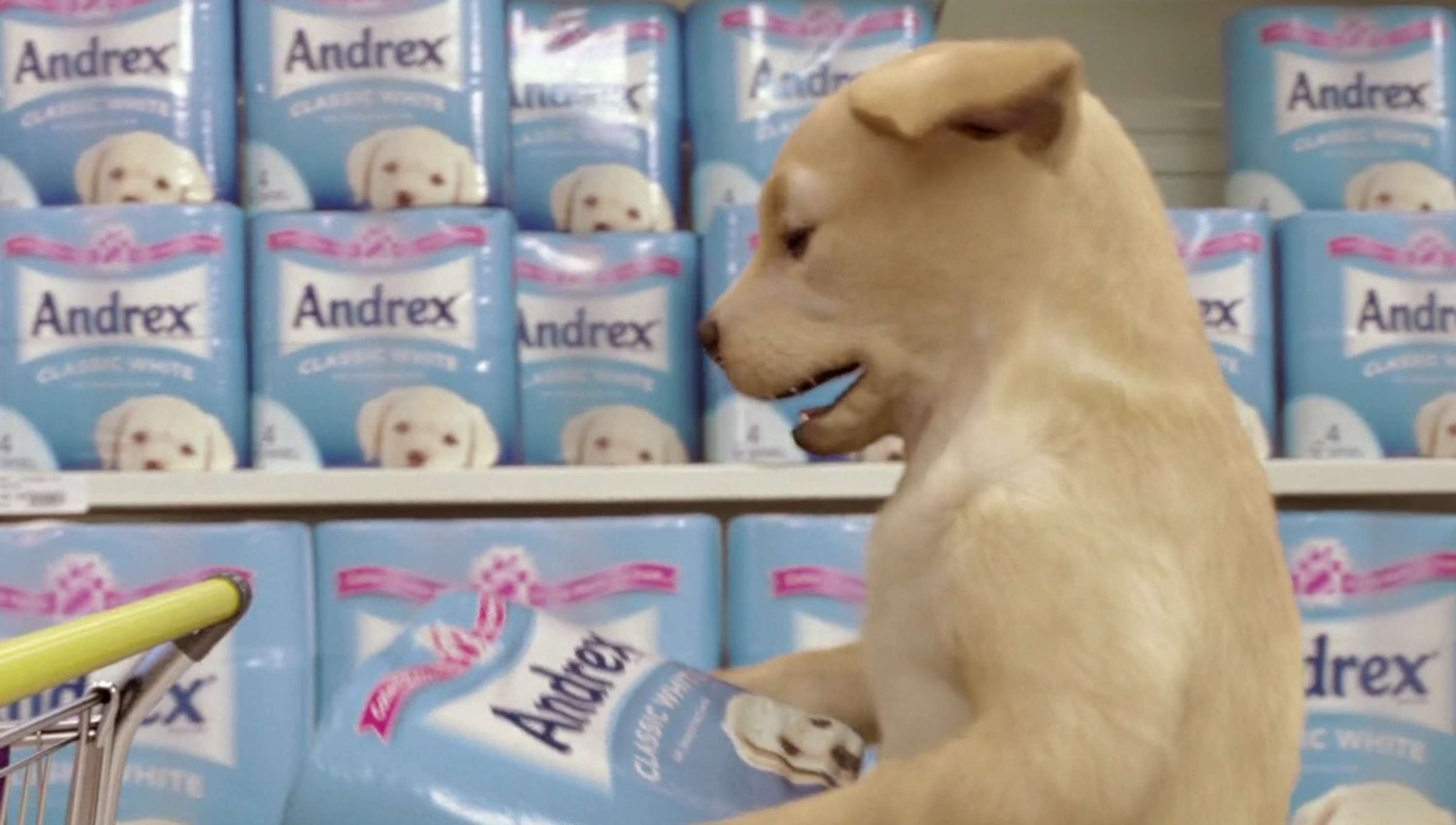 Andrex 'Rollercoaster' by Mike McGee
