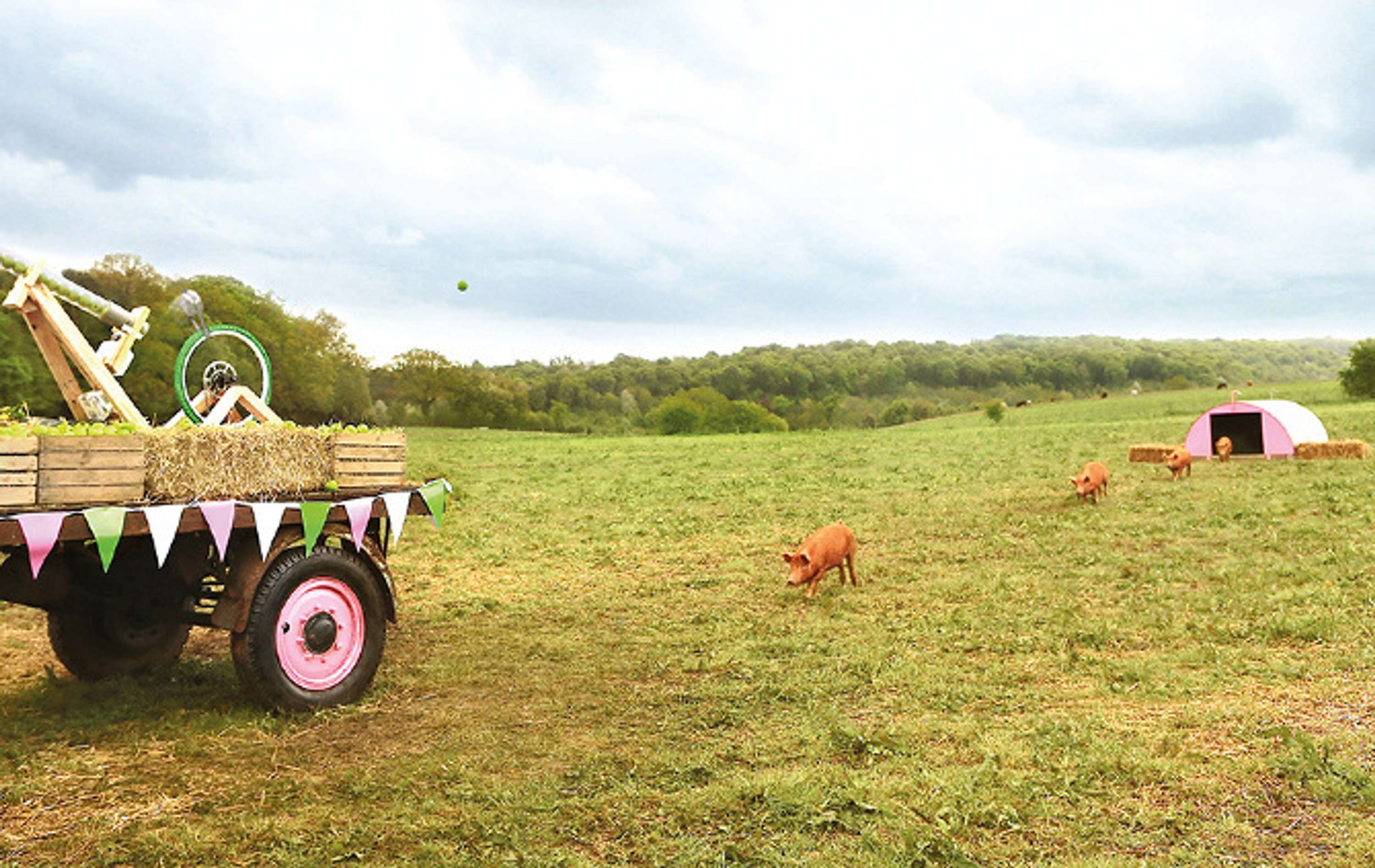 Compassion In World Farming by shwan hamidi