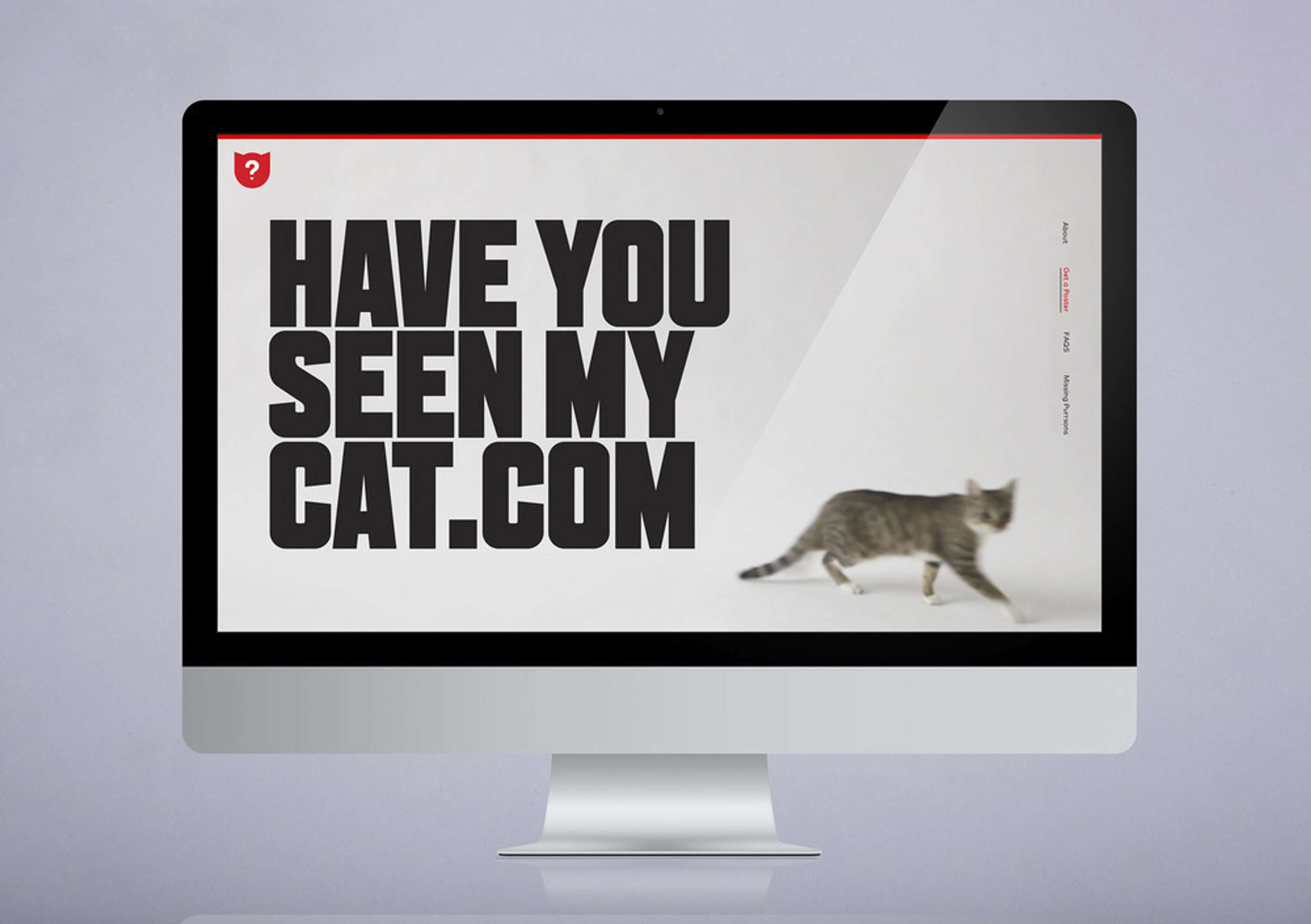 haveyouseenmycat.com by Alice Murray