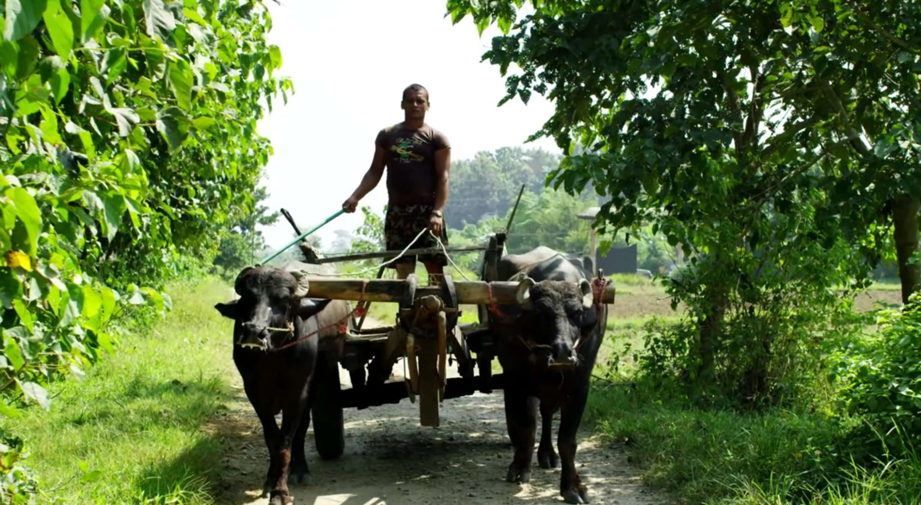 Nepal - Adventures of Teamsupertramp in 4K - #fortunetraveller by Rightster