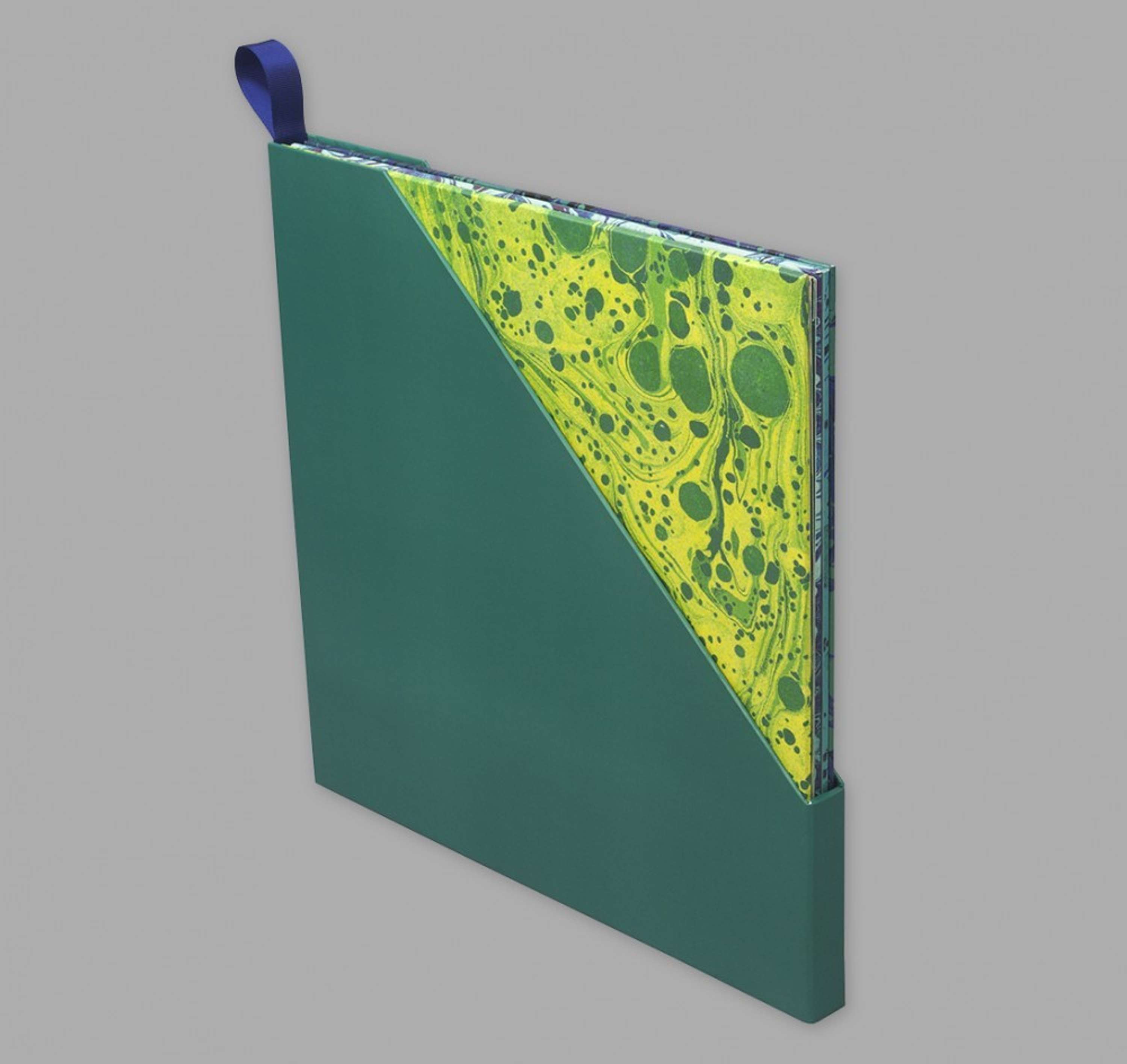THE HORRORS | HIGHER BOXSET by Alison Fielding