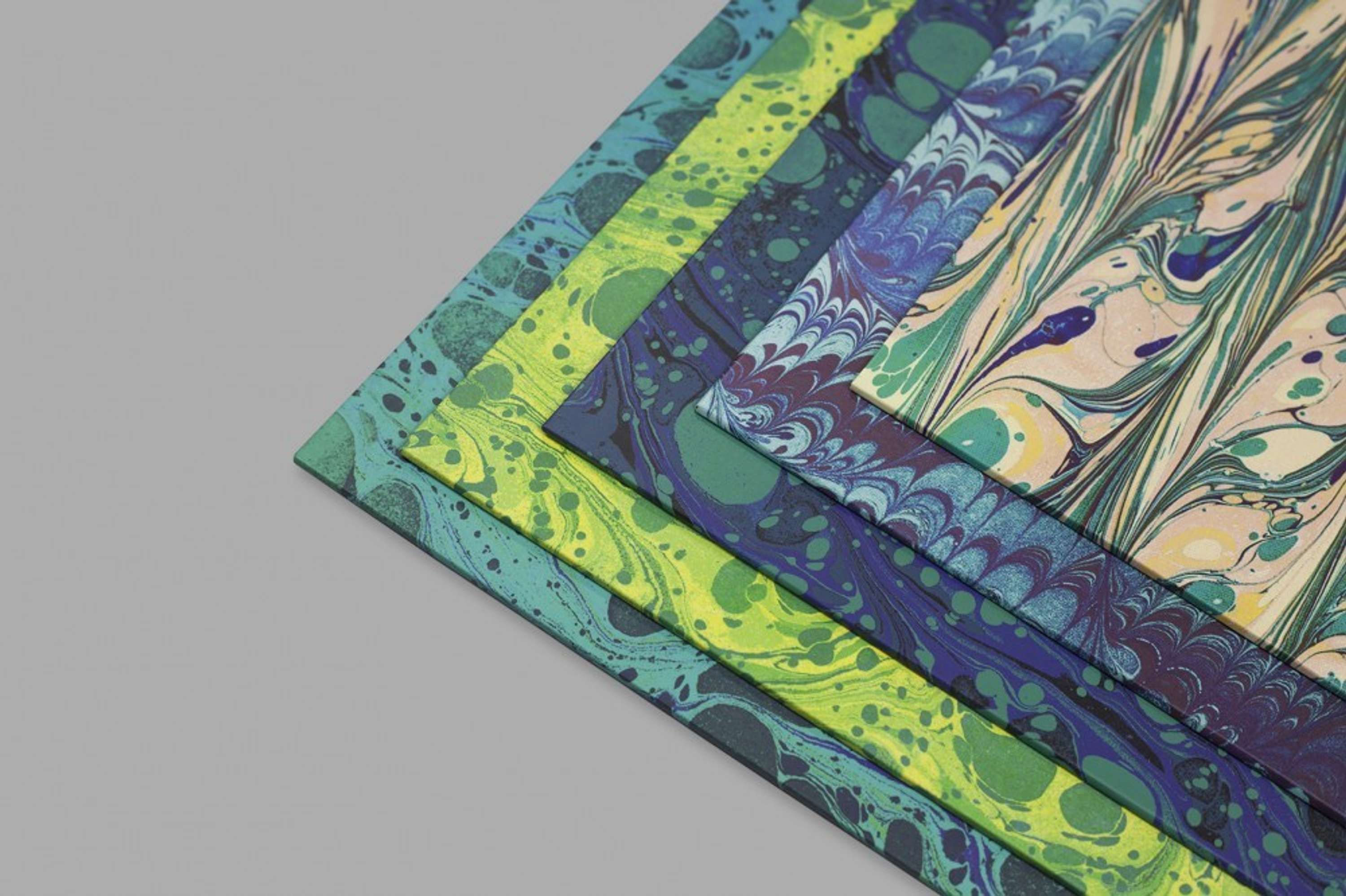 THE HORRORS | HIGHER BOXSET by Alison Fielding