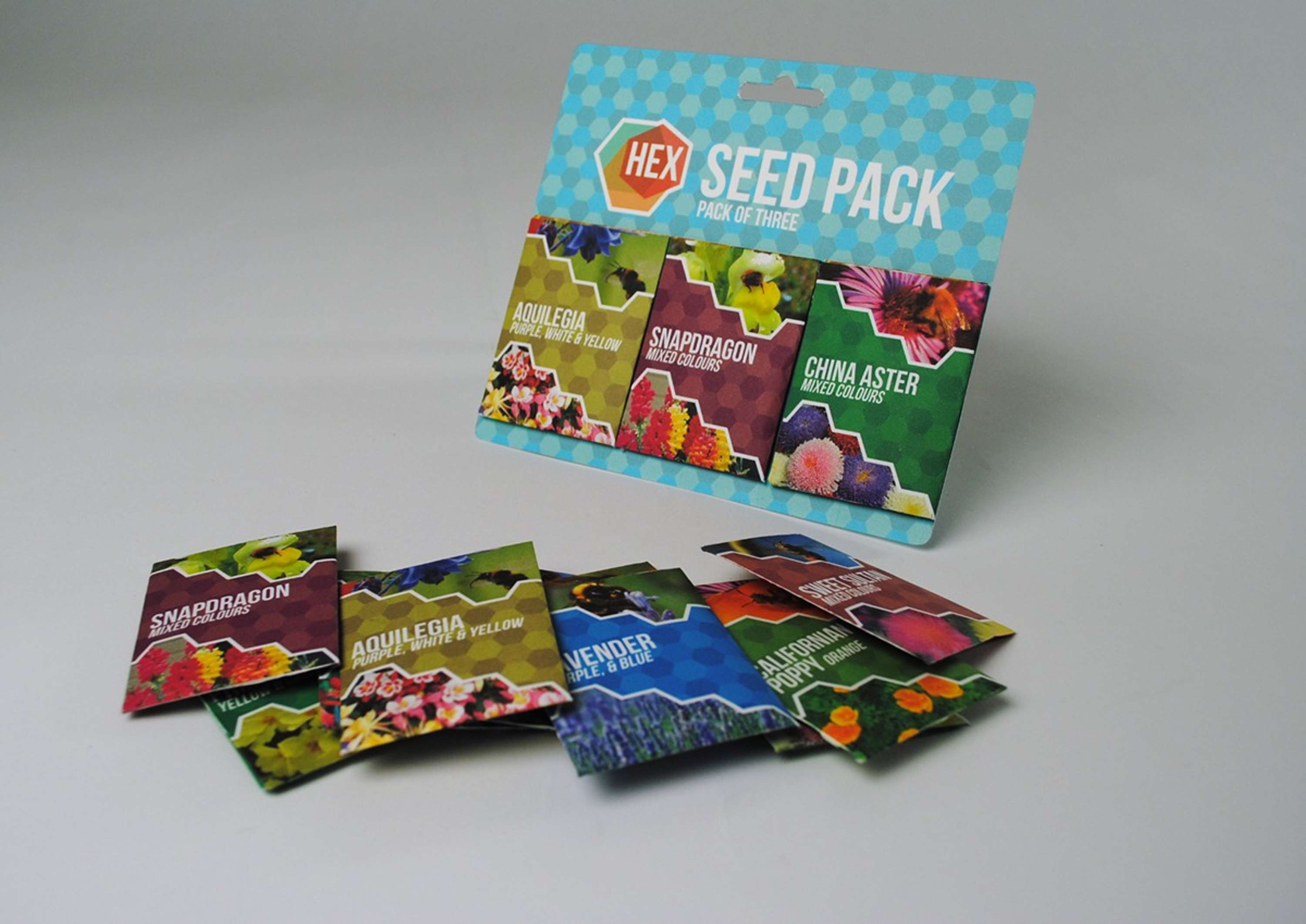 HEX - Save the Bees Project by Rosemary Nicholas