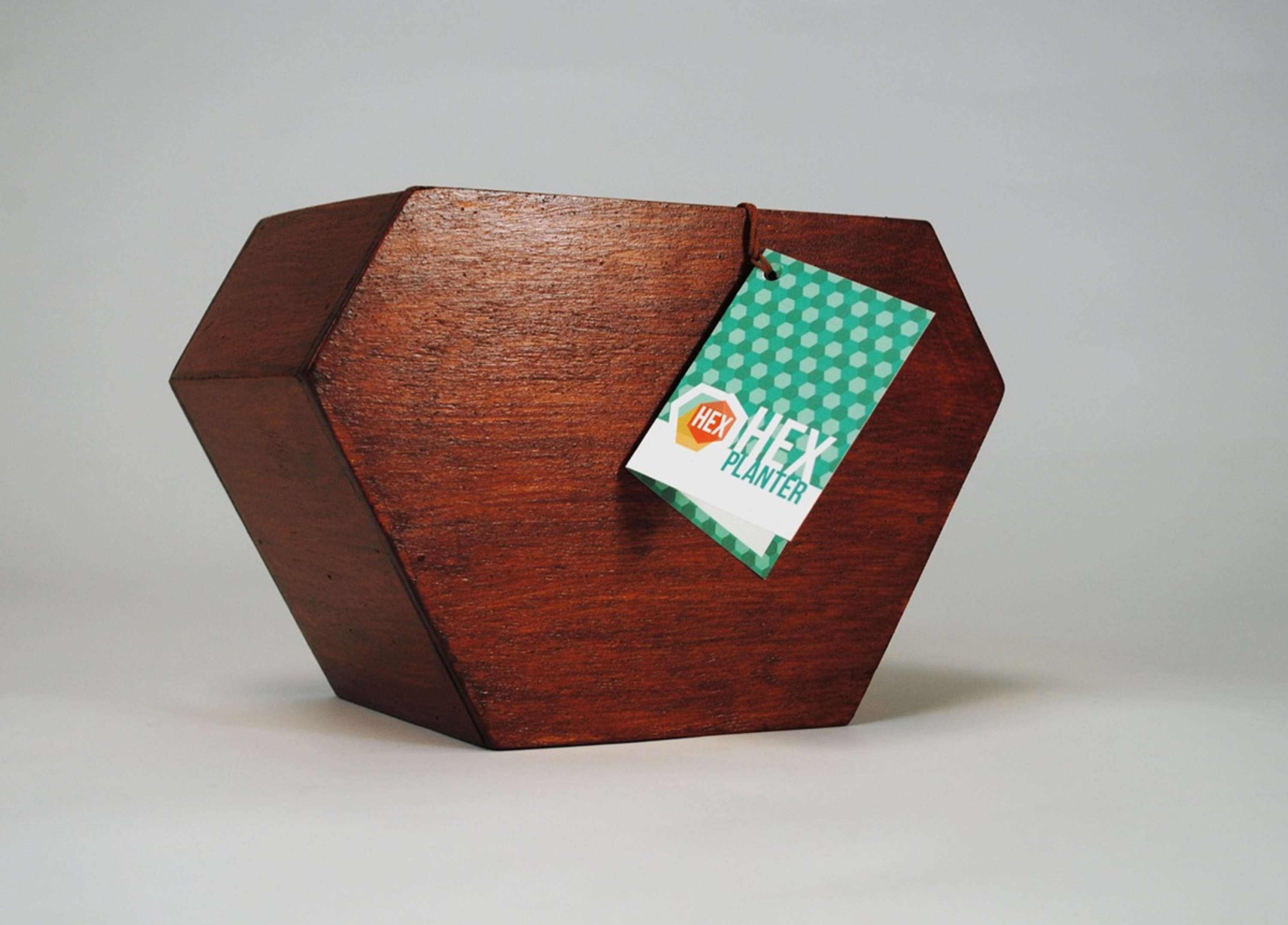 HEX - Save the Bees Project by Rosemary Nicholas
