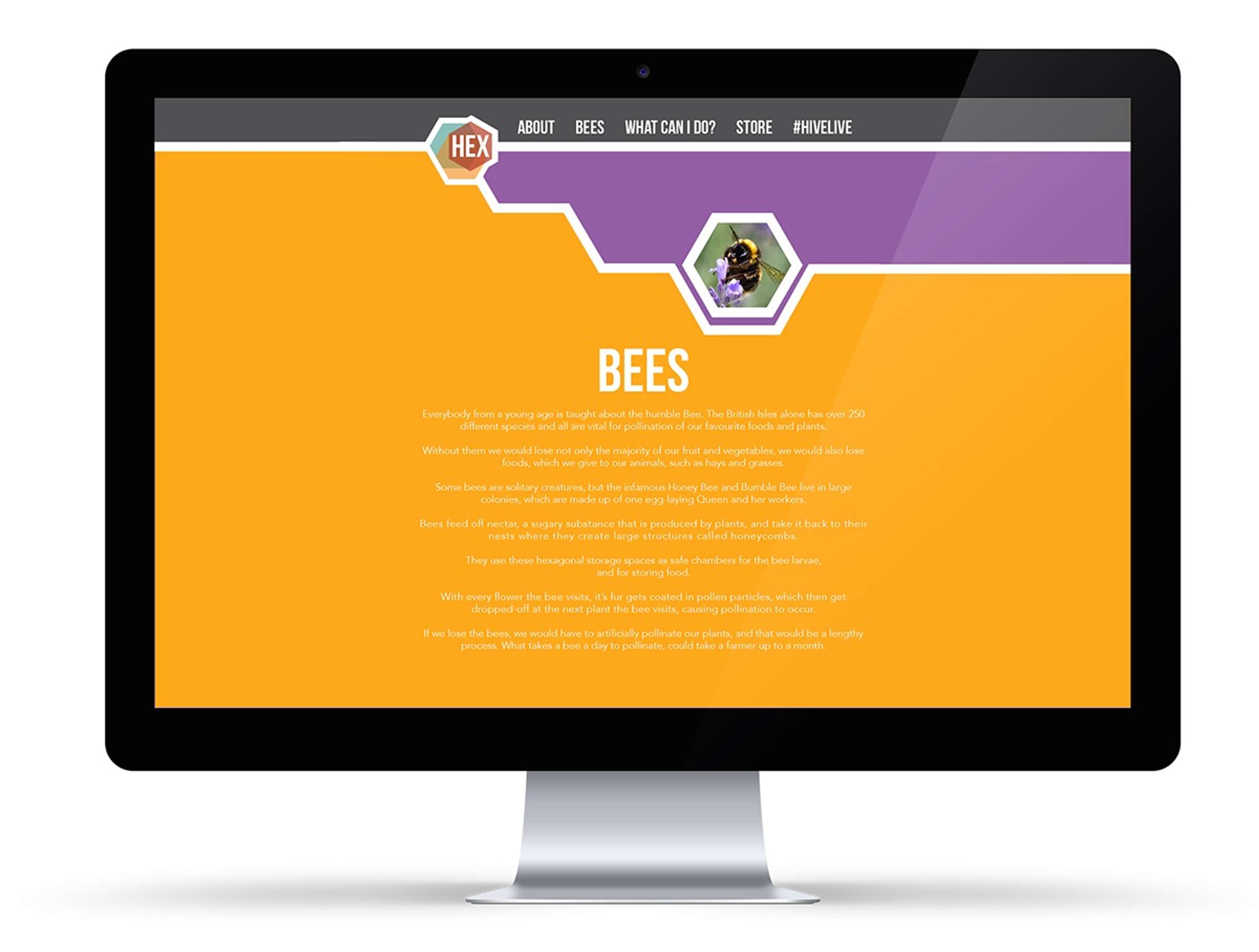 HEX - Save the Bees Project by Rosemary Nicholas