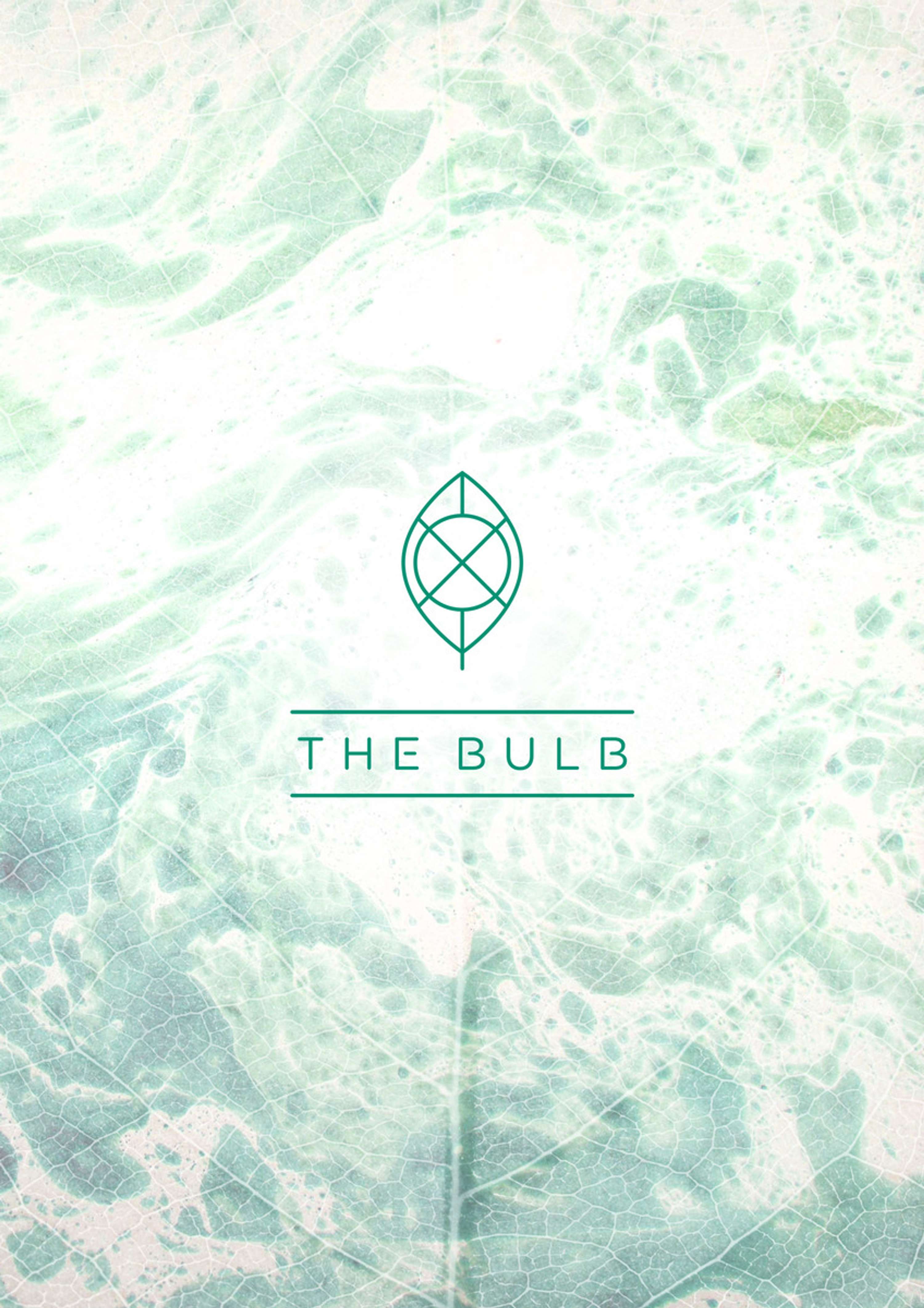 Portfolio by The Bulb
