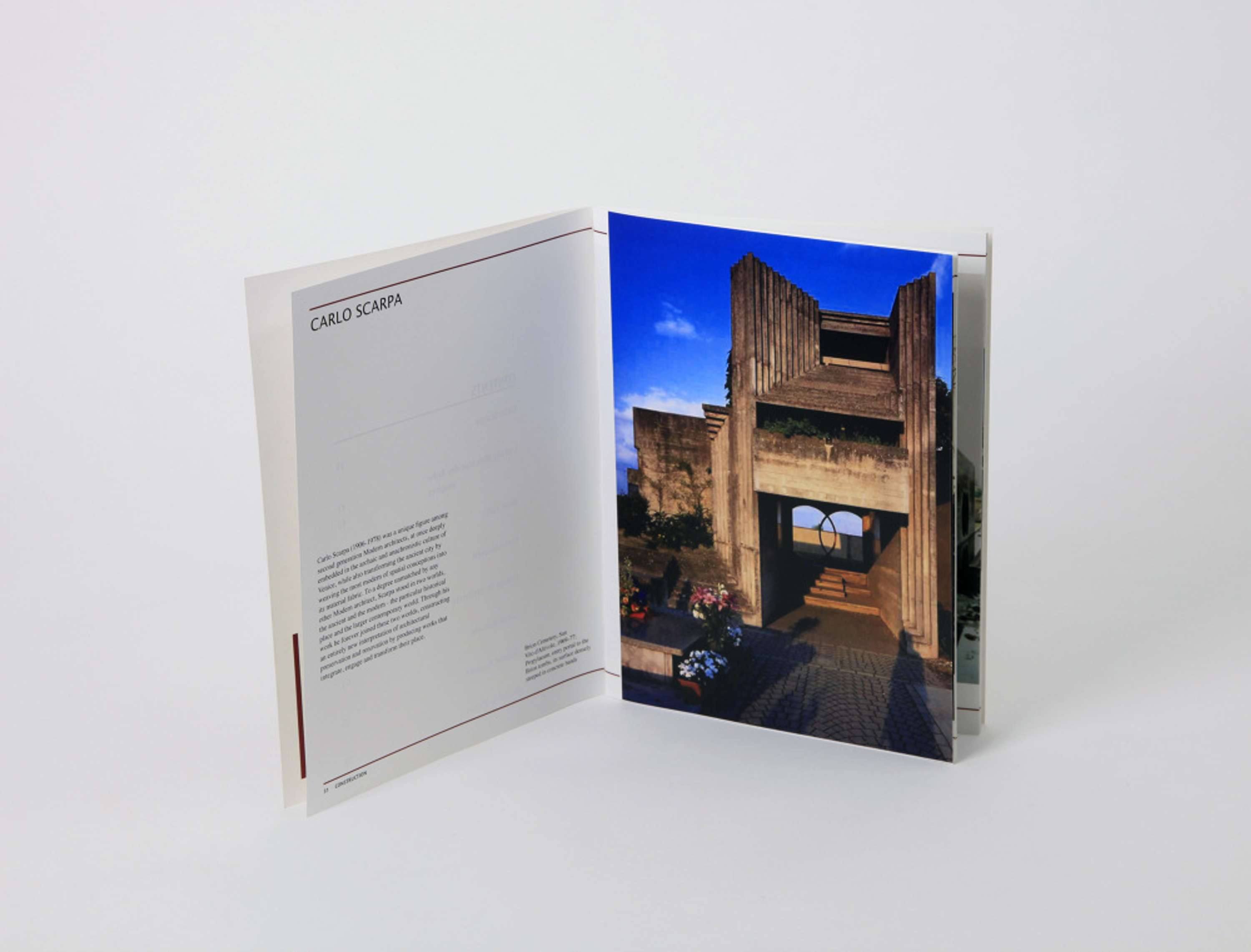 Phaidon Selects by Laura Trovato