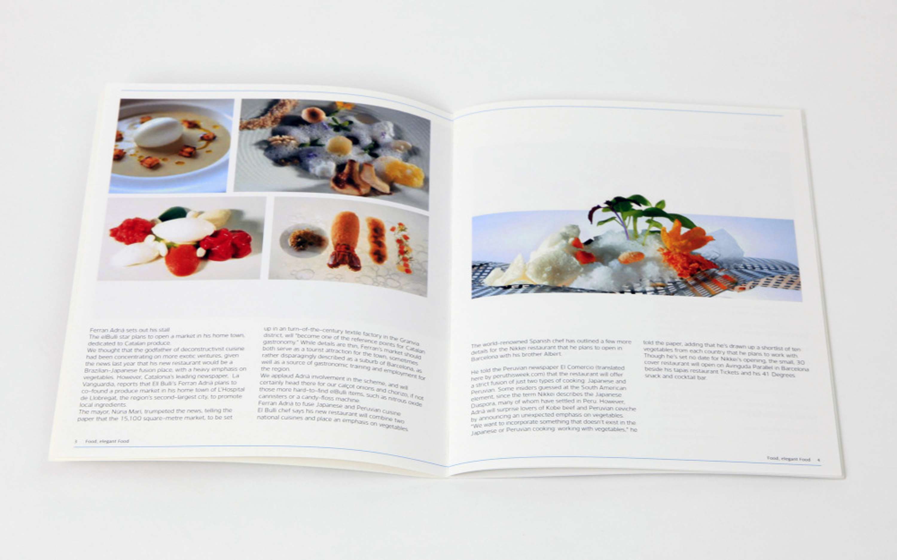 Phaidon Selects by Laura Trovato