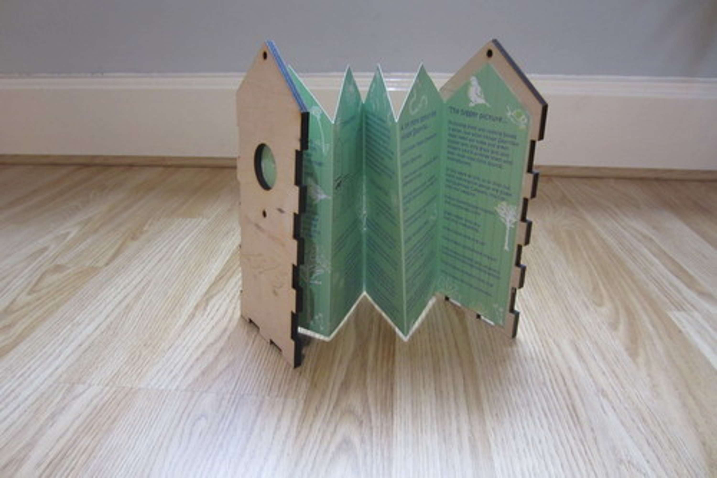 SAVE THE SPARROWS by Lorna Boyle