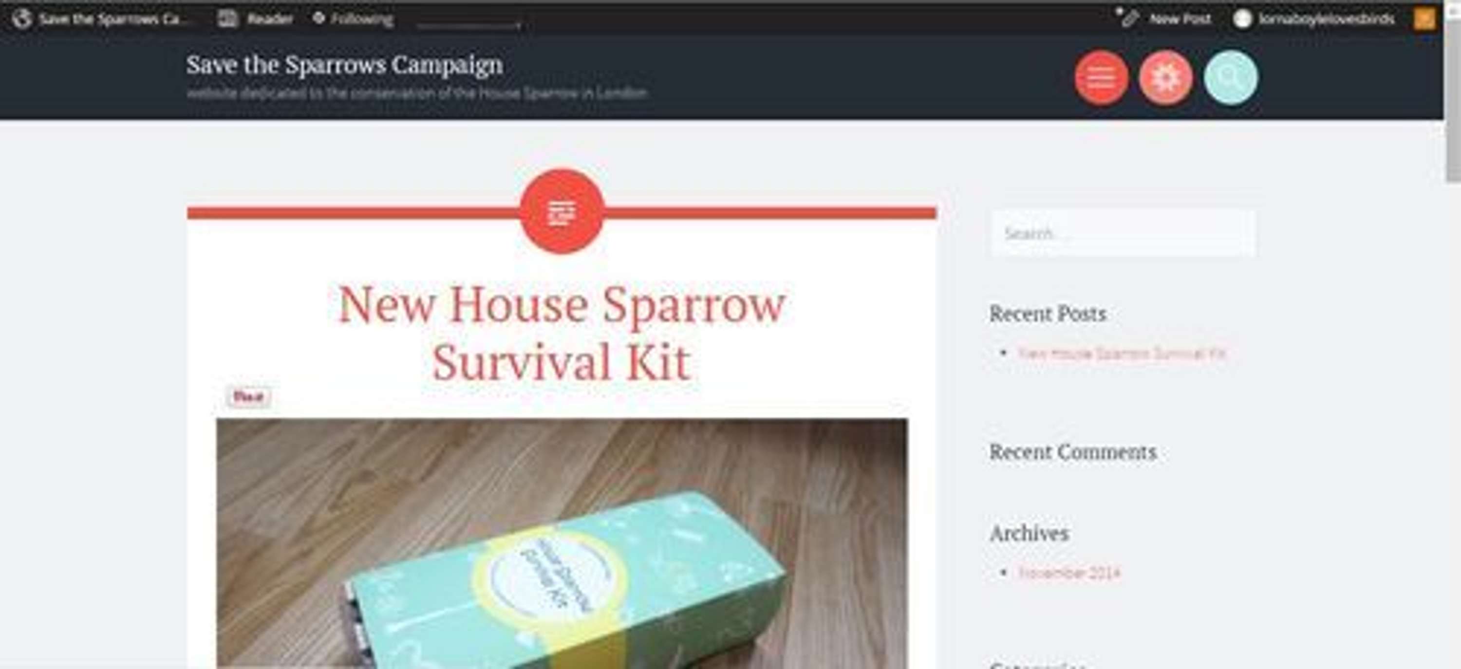 SAVE THE SPARROWS by Lorna Boyle