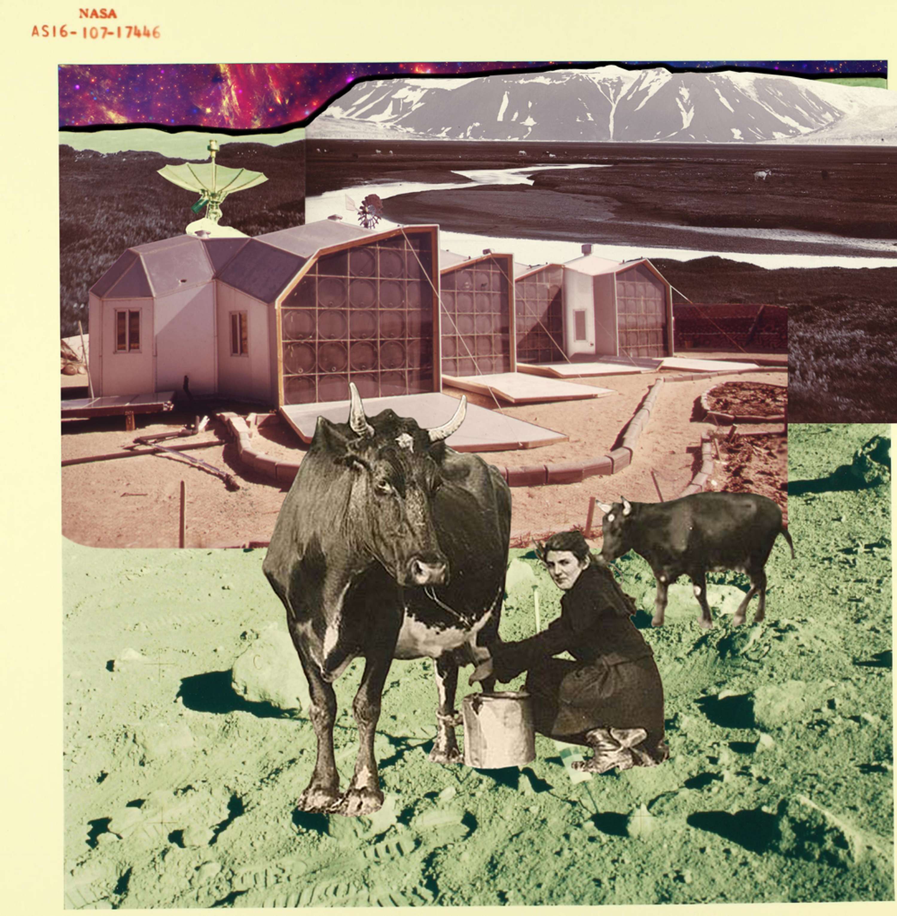 Stellar Colonization Serenade by Jamie Green