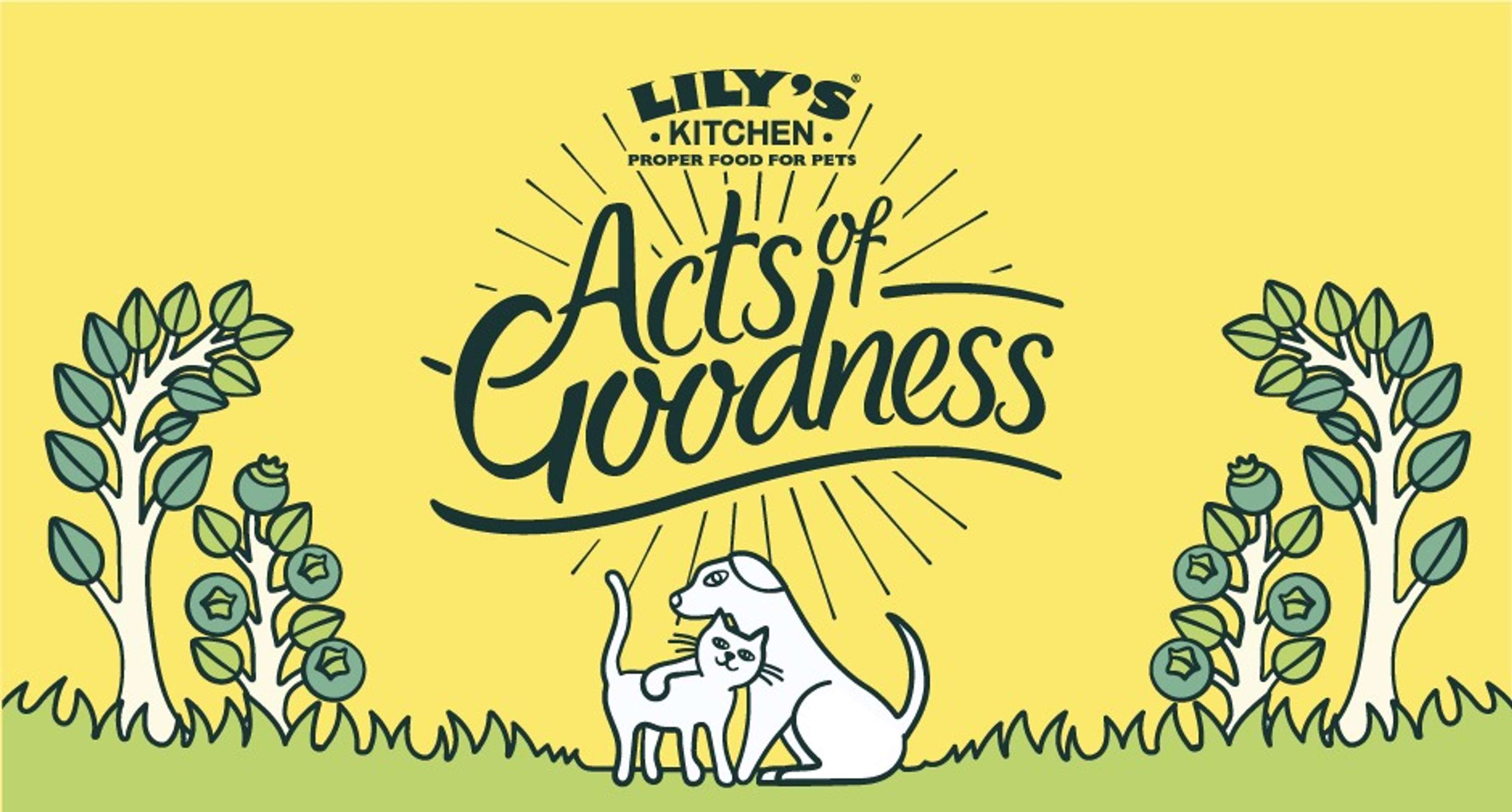Act of Goodness by Lily's Kitchen