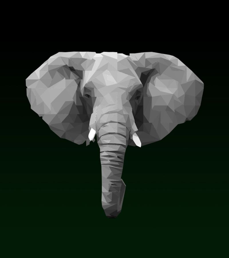 Elephant by Hannah Robinson