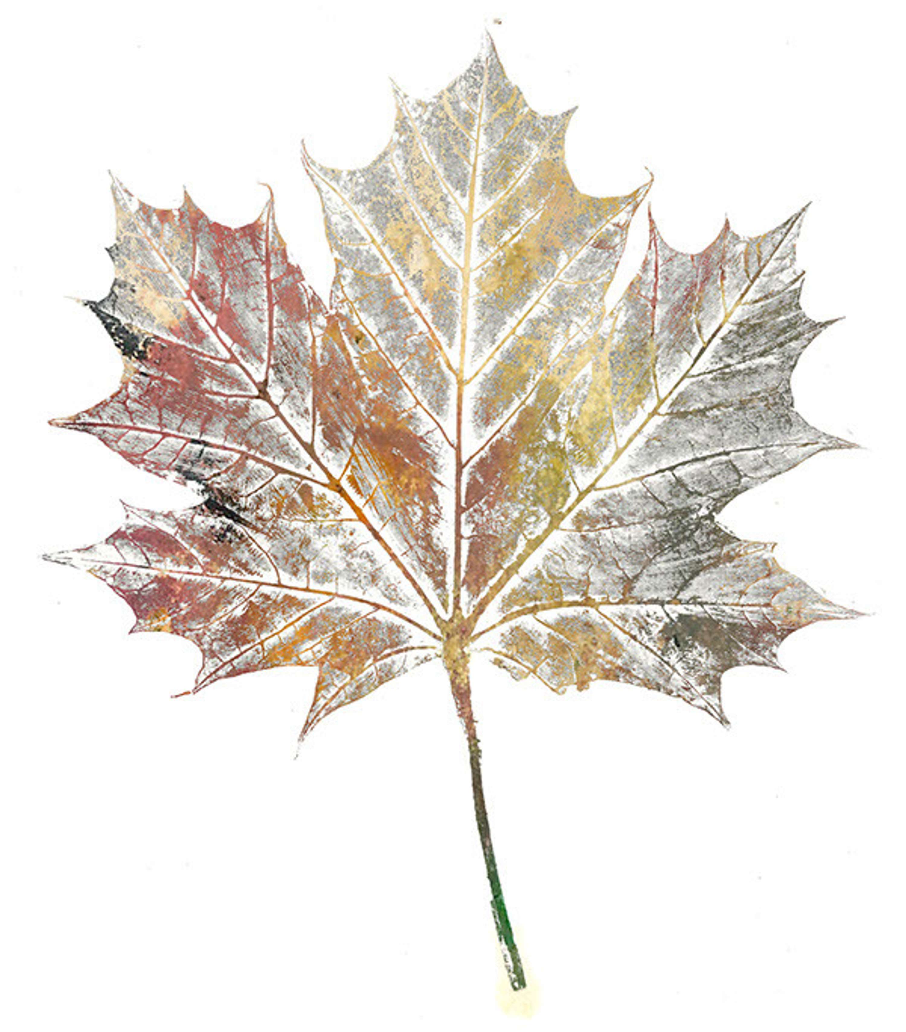 Autumnal Project by Kathleen Hockey