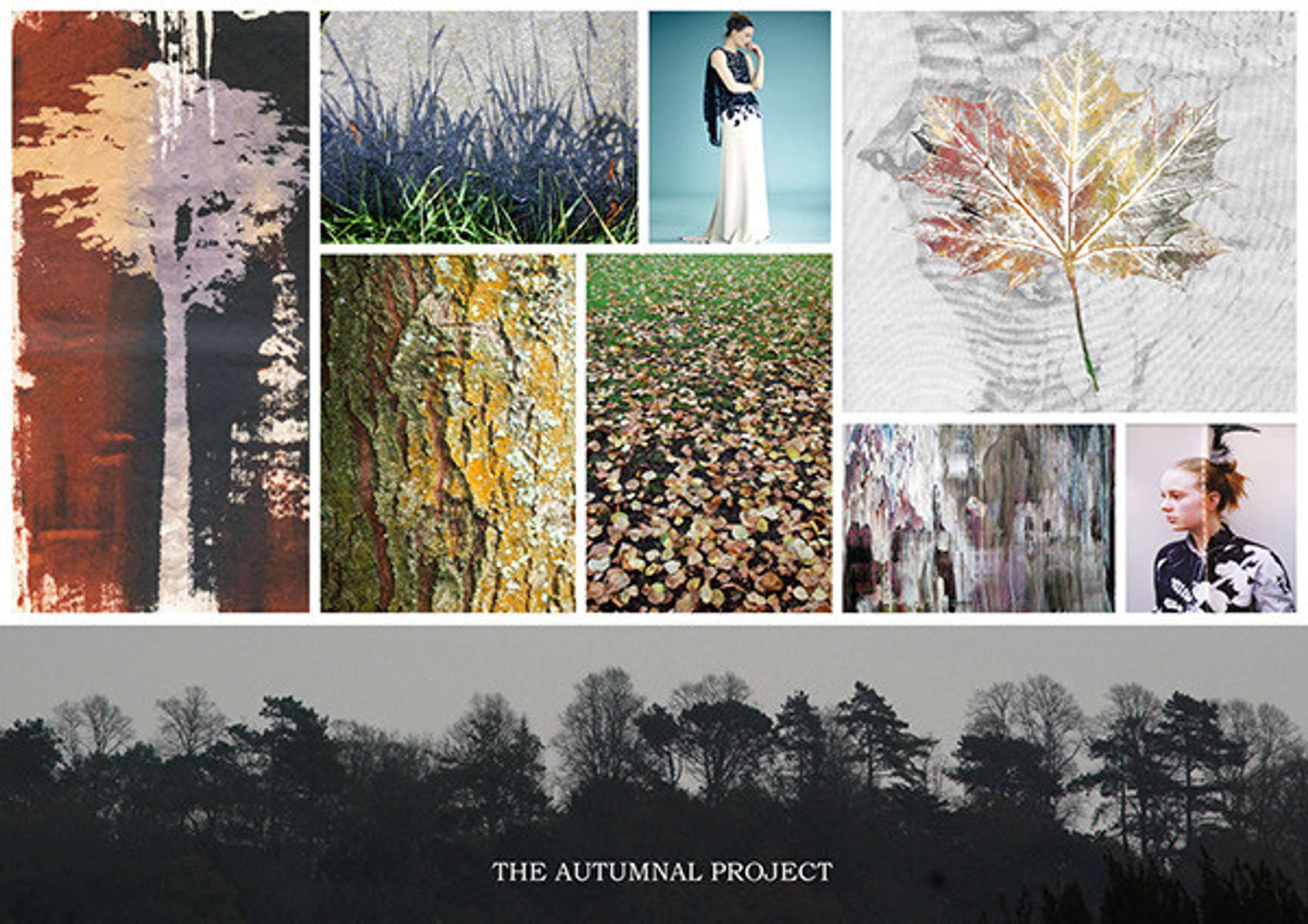 Autumnal Project by Kathleen Hockey