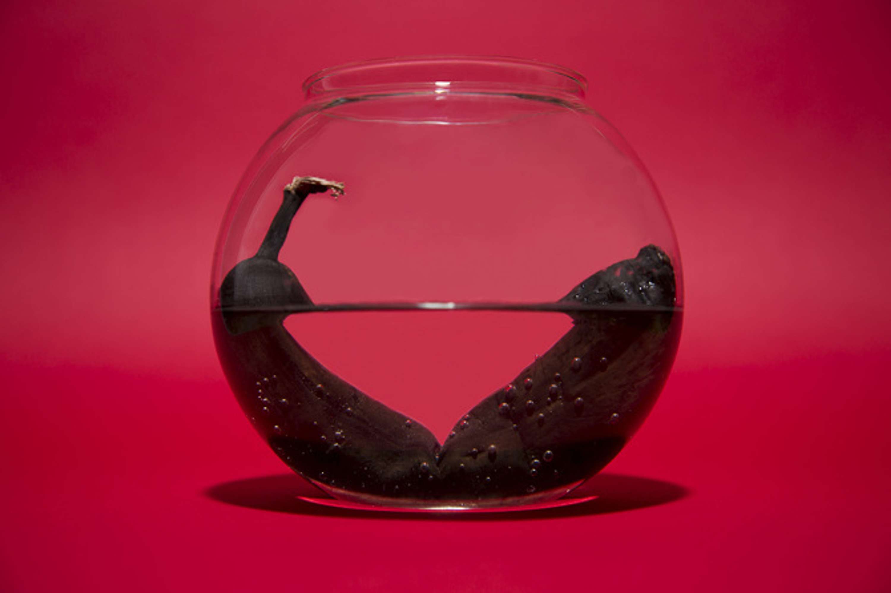 Trapped by Francesca Poncetta