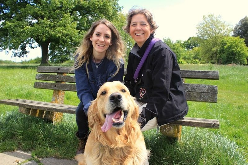 Bailey, Shirley and Tori by BorrowMyDoggy
