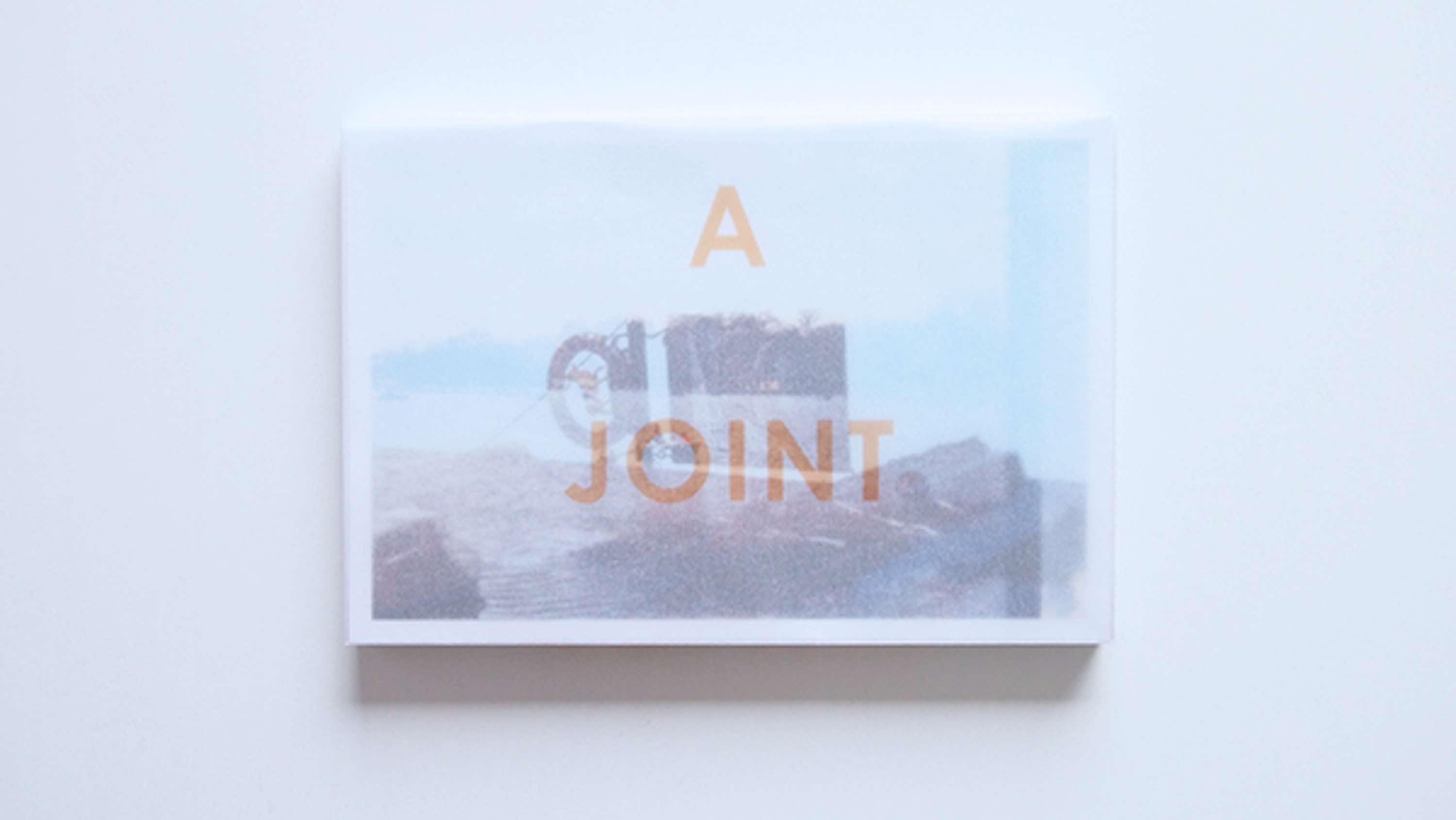 A Joint Photographic Project by Shihui Yang