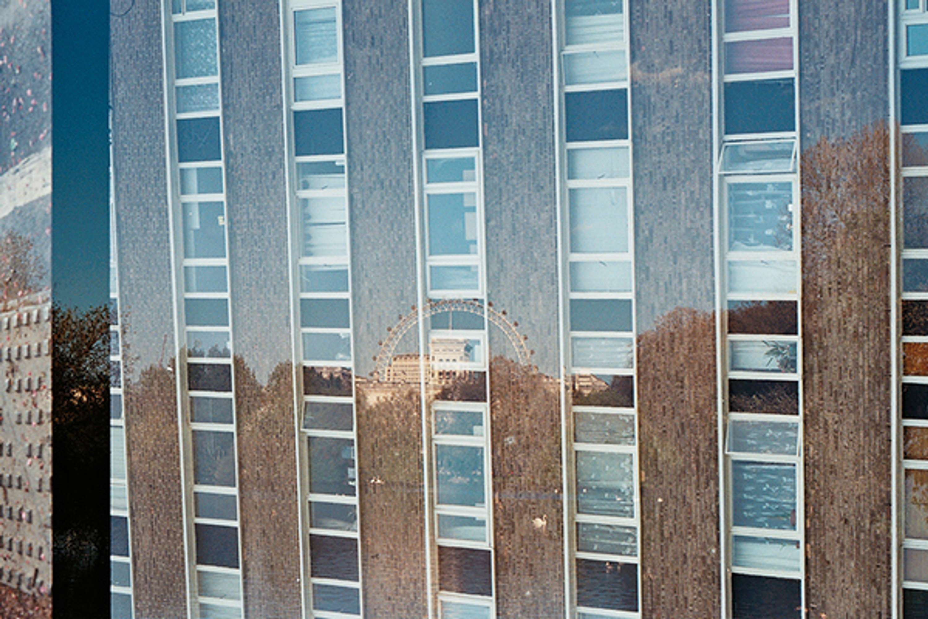A Joint Photographic Project by Shihui Yang