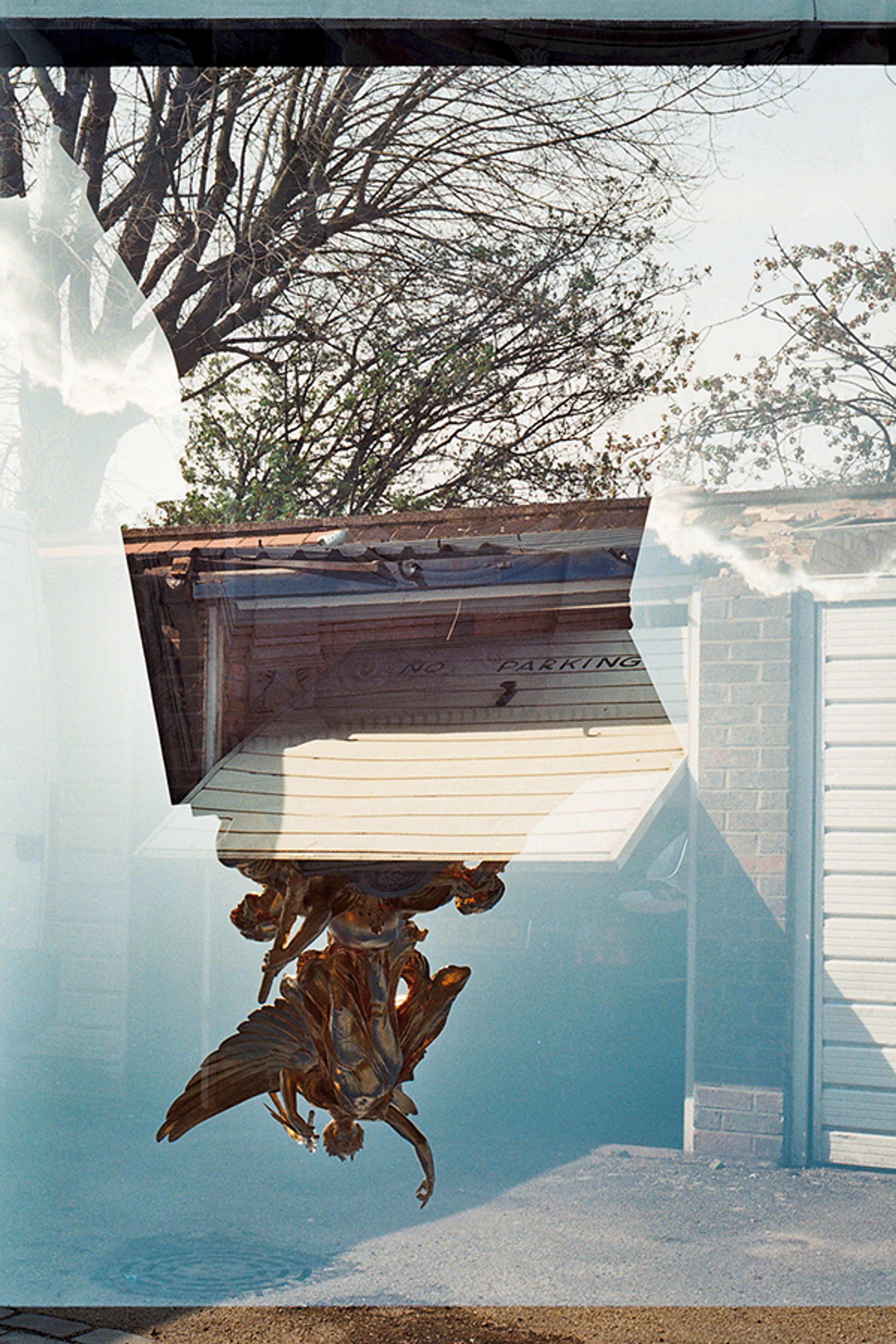 A Joint Photographic Project by Shihui Yang