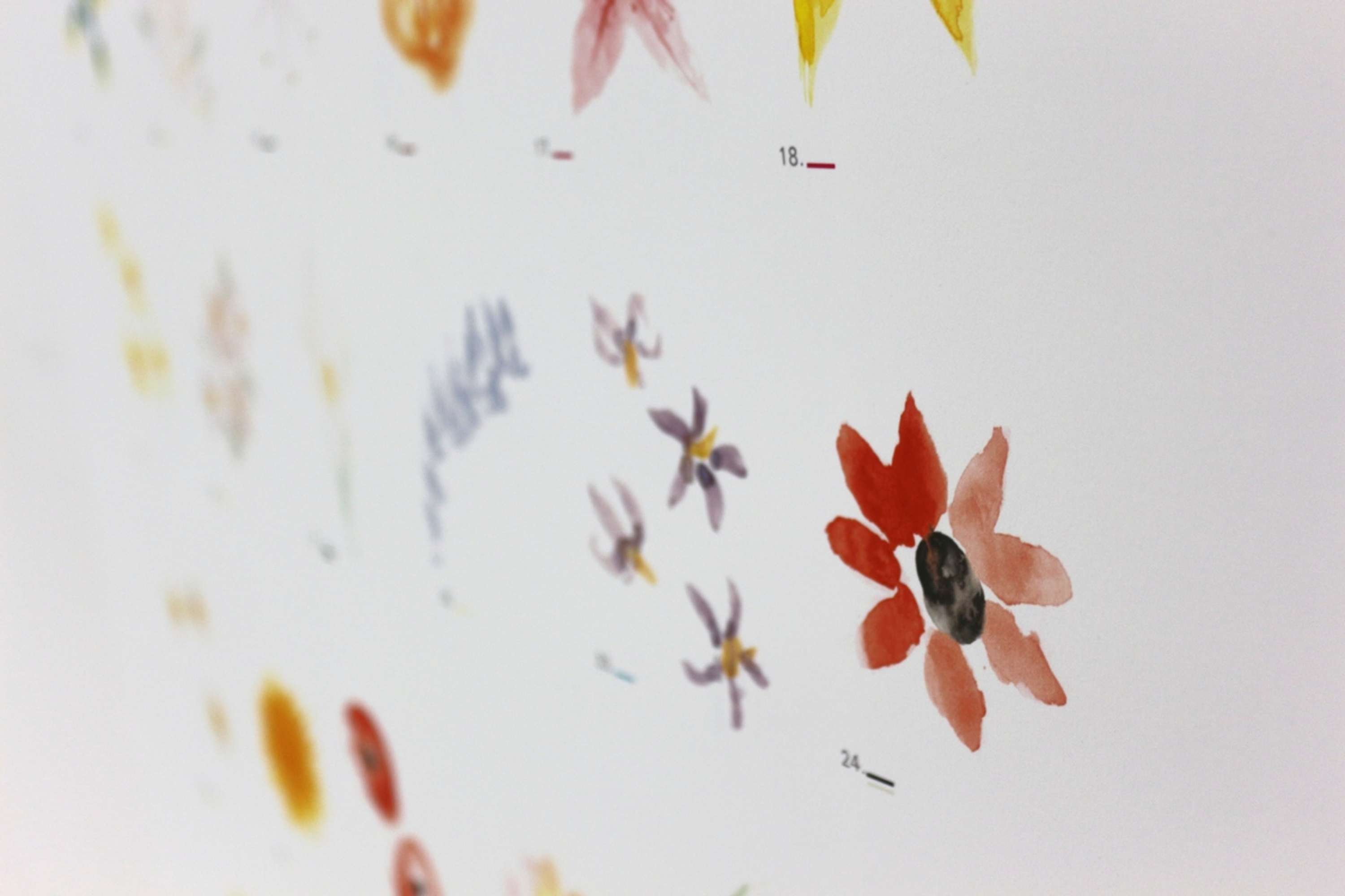 The Language of Flowers by Jessica Mallalieu
