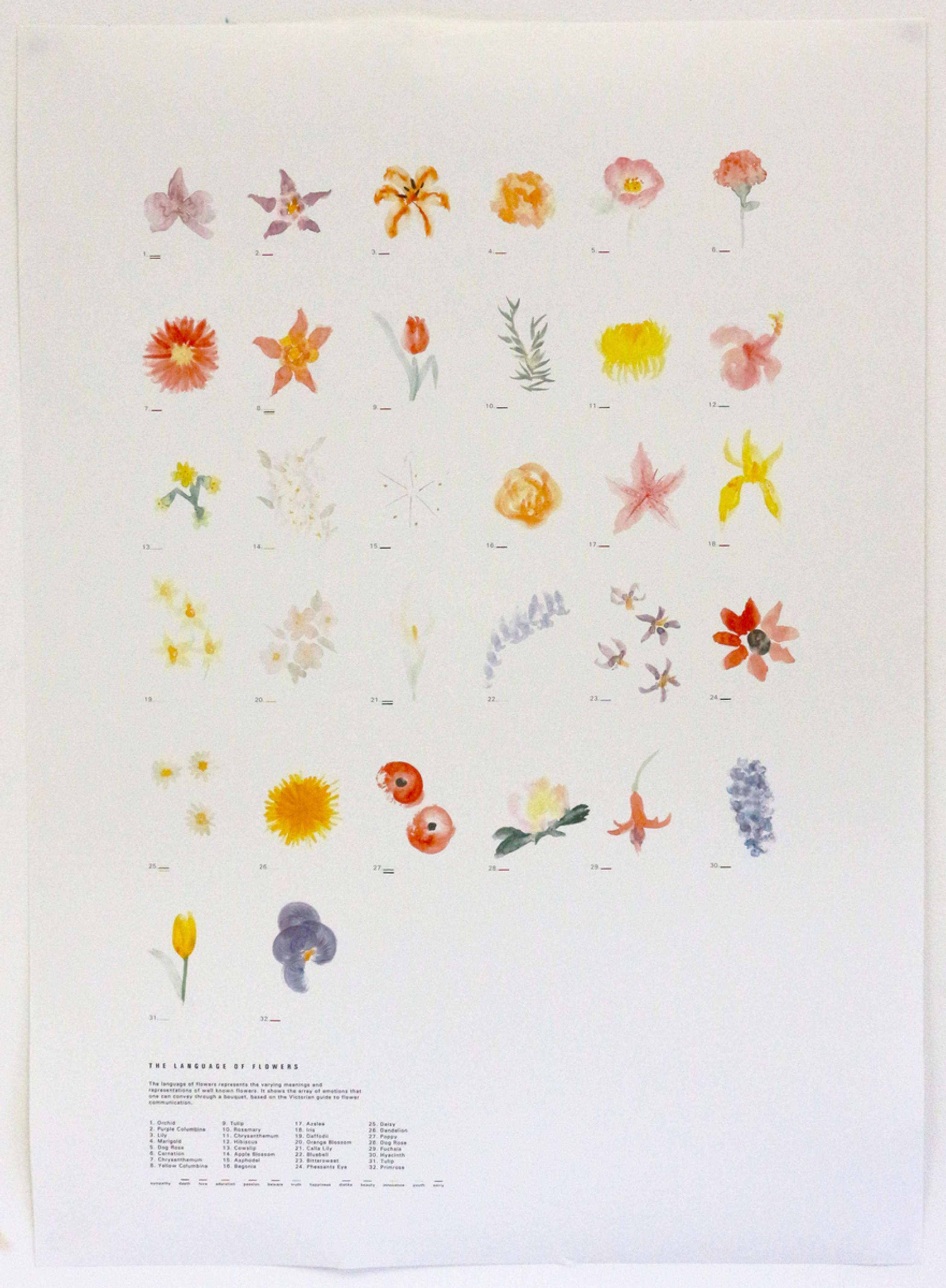 The Language of Flowers by Jessica Mallalieu