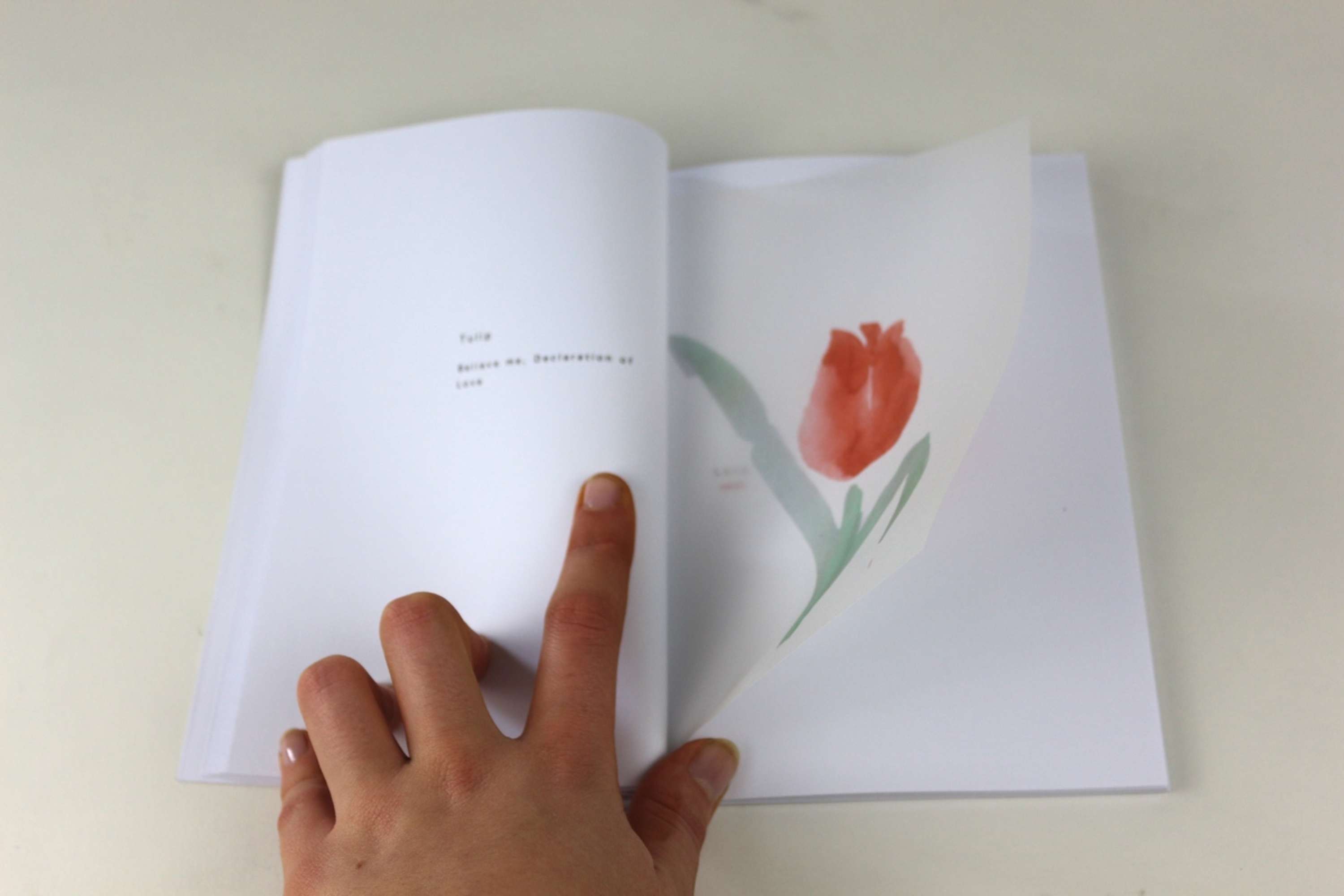 The Language of Flowers by Jessica Mallalieu