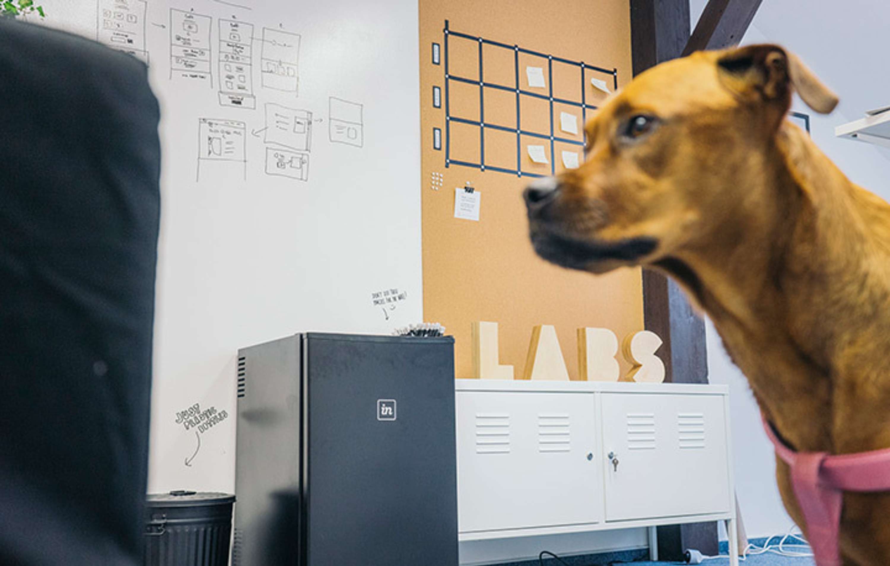 Making InVision LABS: Behind The Scenes At InVision’s New Incubator by InVision