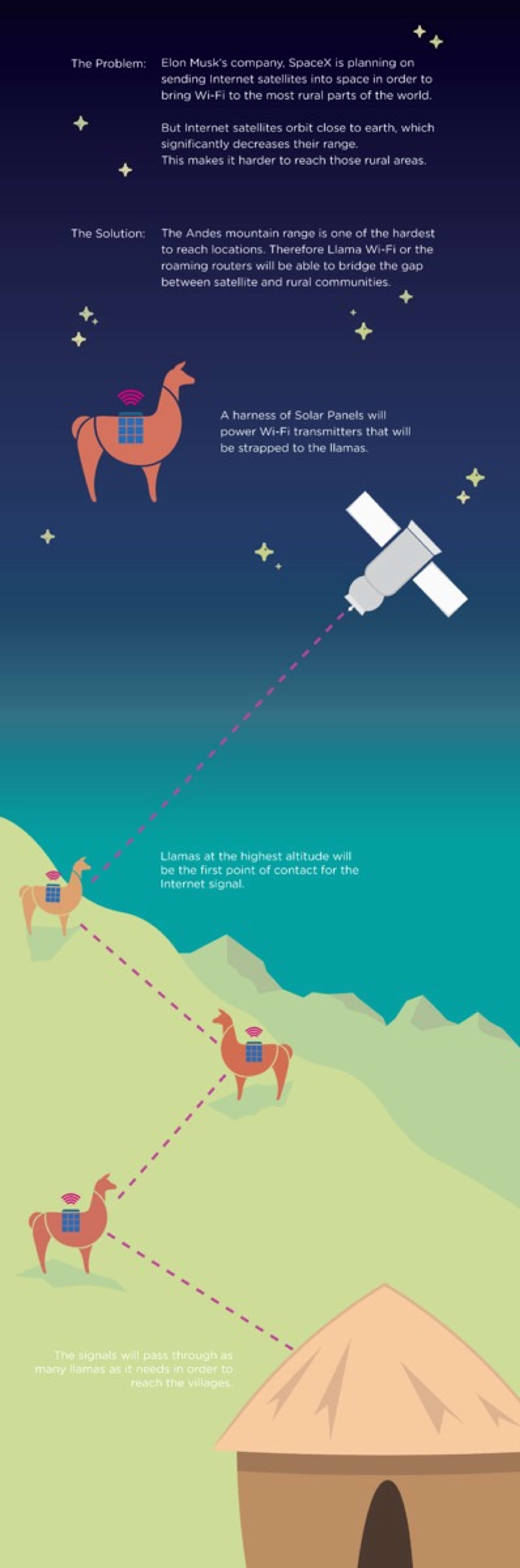 Llama Wi Fi by Ross Weaver