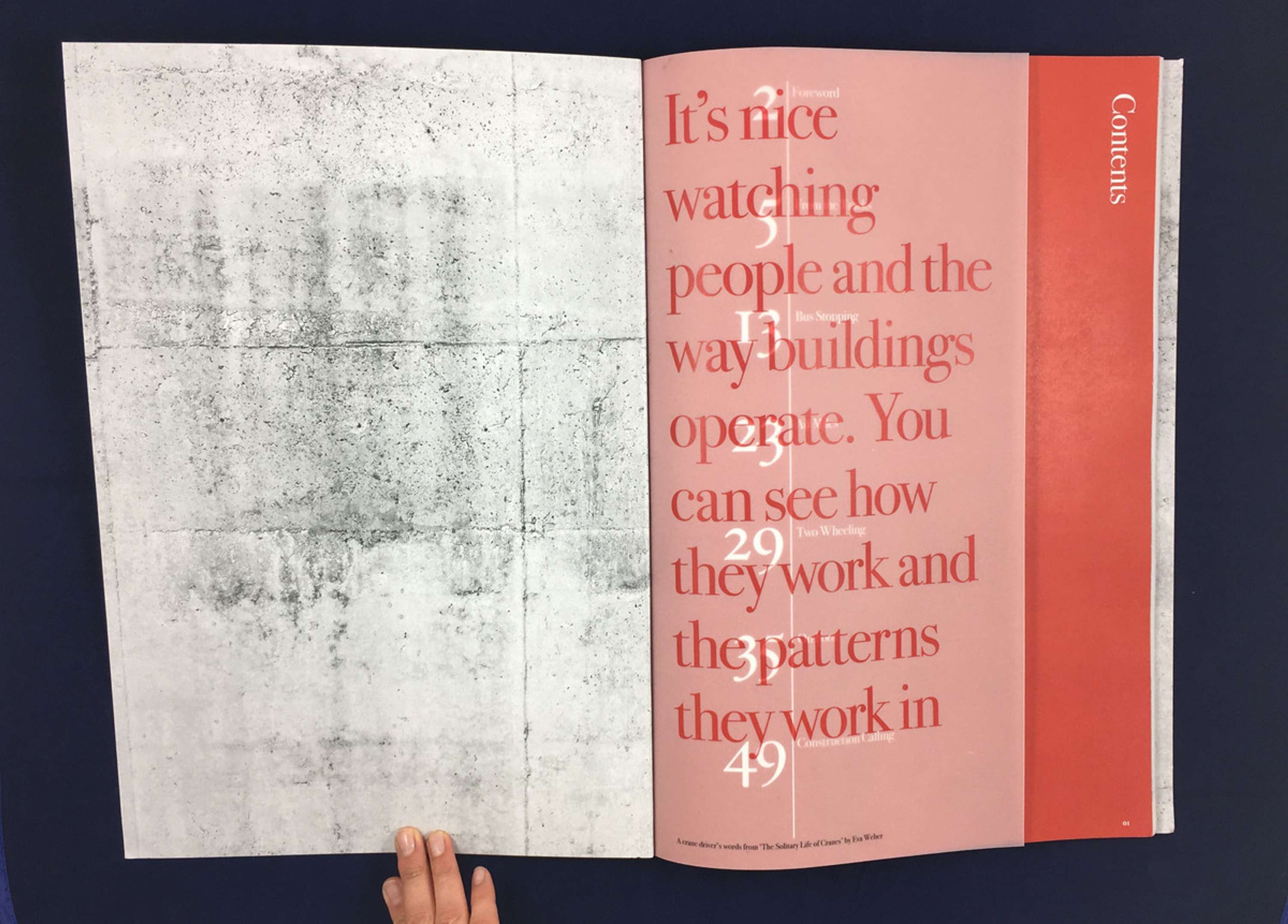 Commuting With Cranes by Marie O'Shepherd