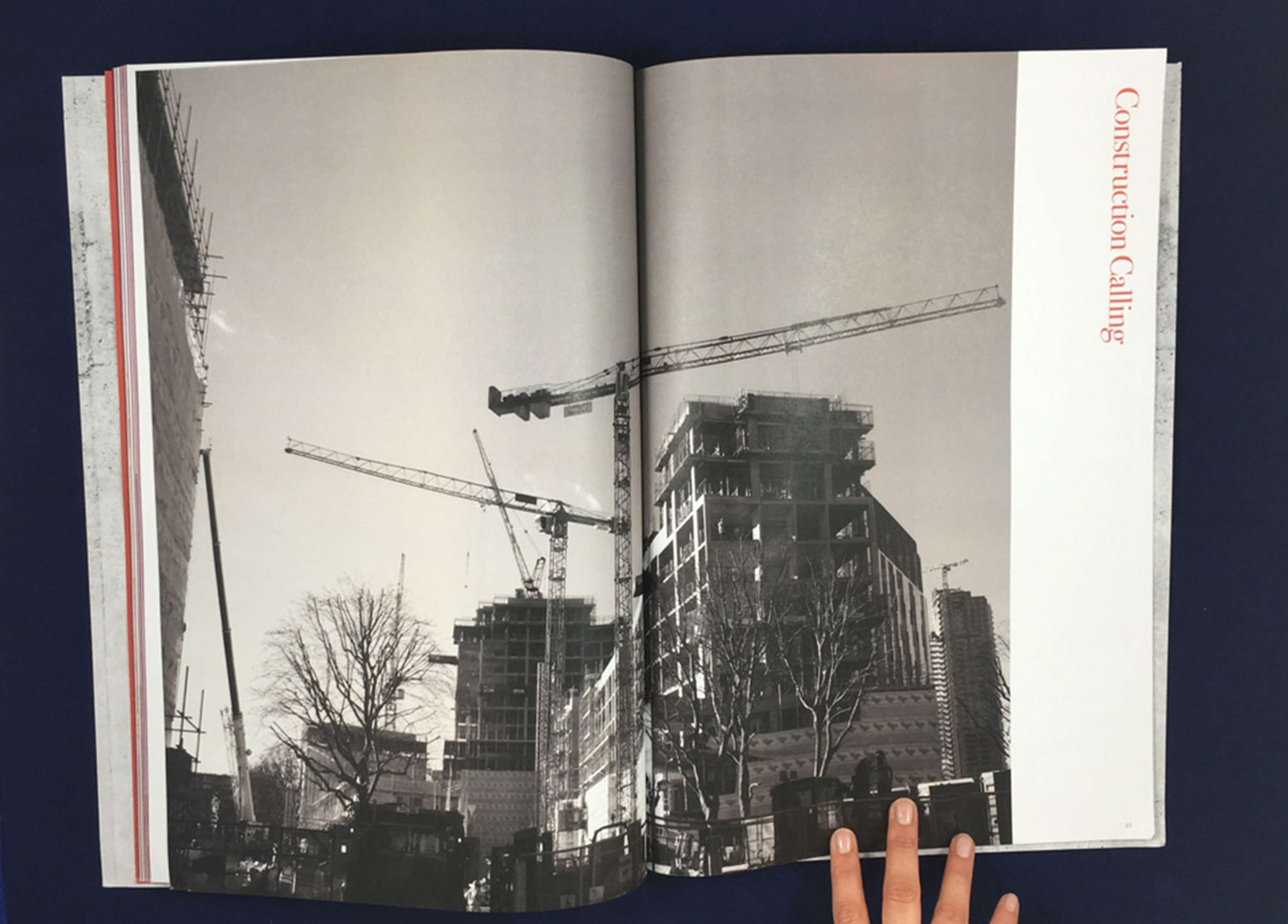 Commuting With Cranes by Marie O'Shepherd