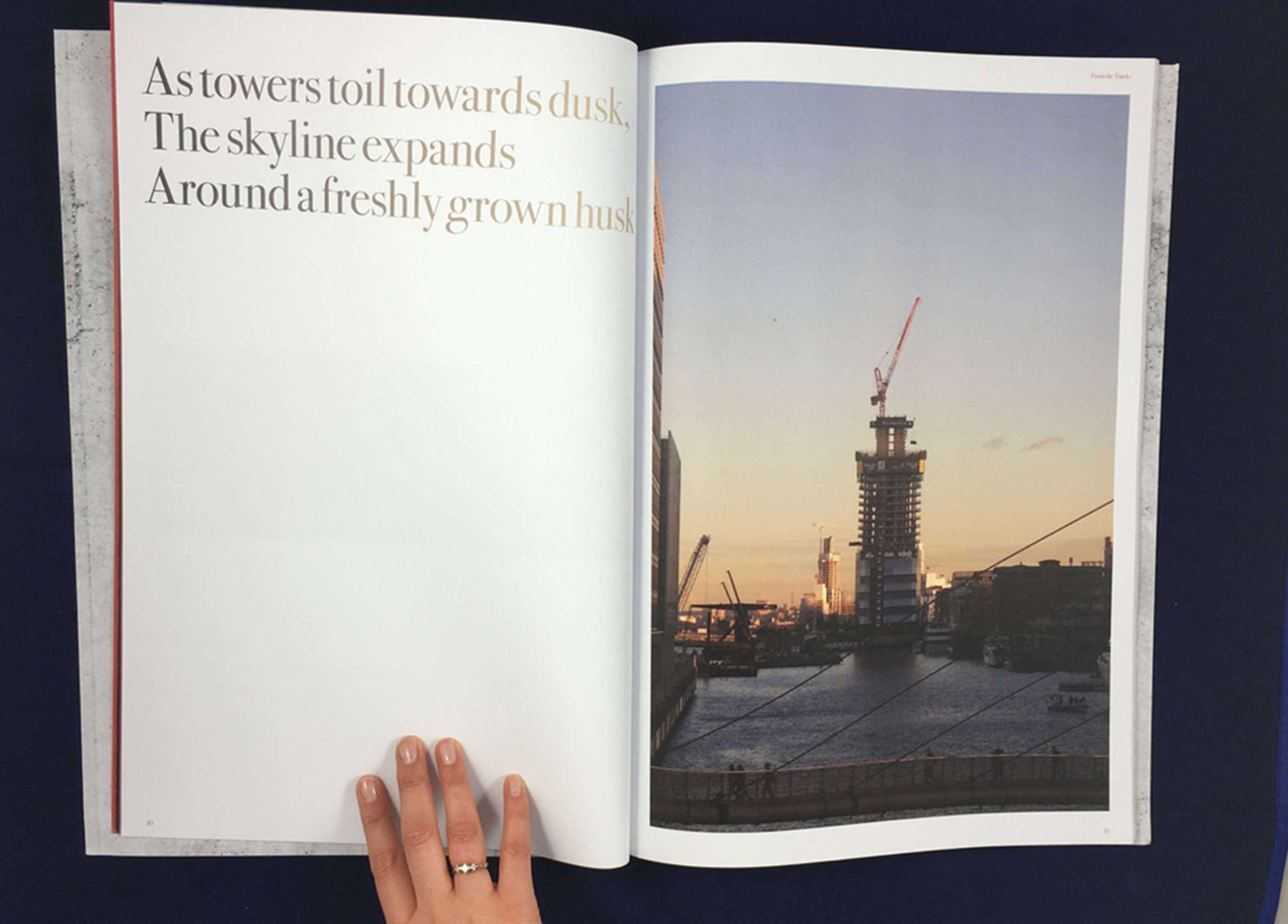 Commuting With Cranes by Marie O'Shepherd